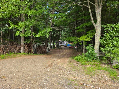 251 Webster Mills Road, Pittsfield, NH 03263 - #: 5103783