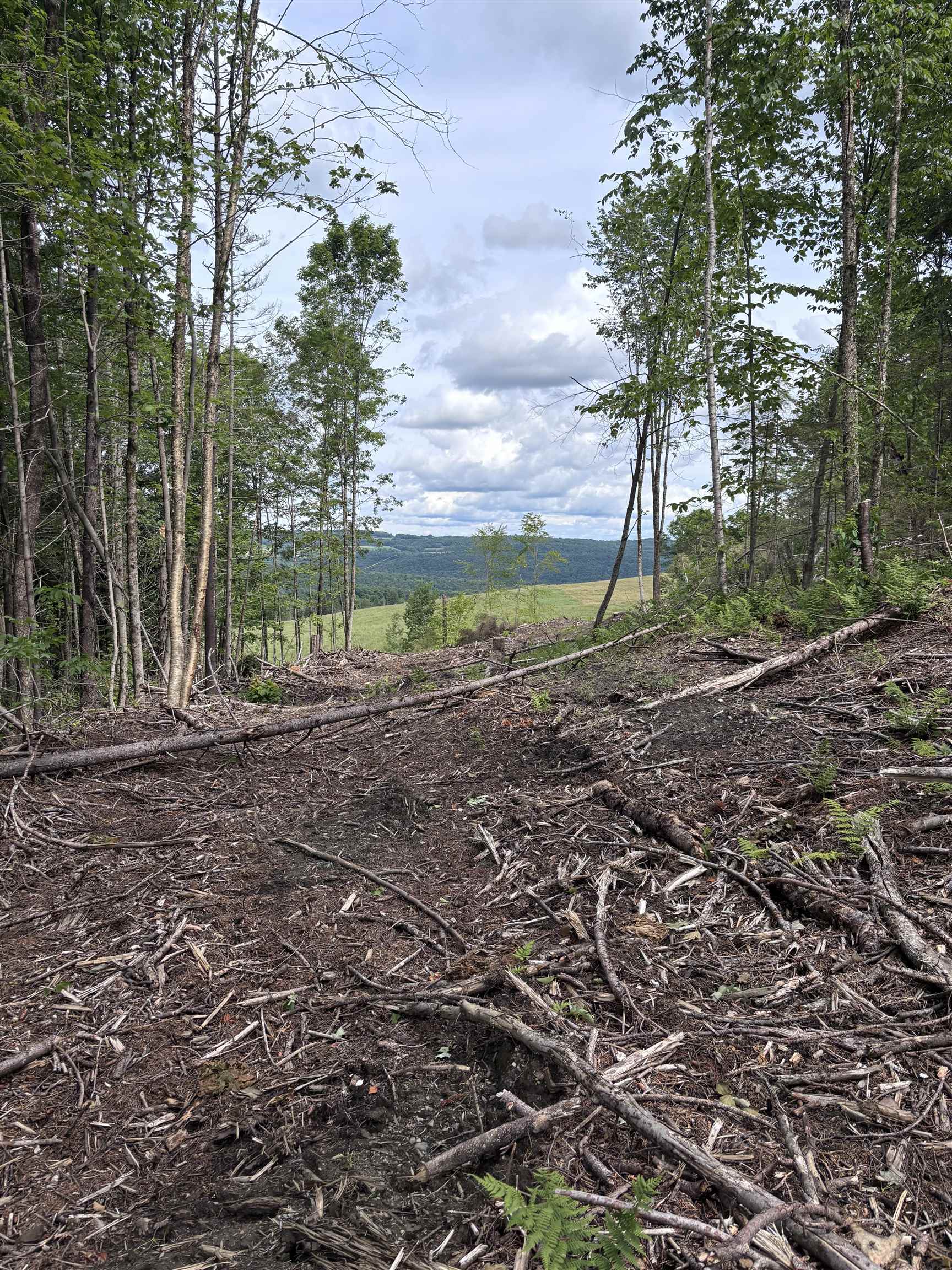 0 Davis Acres Road