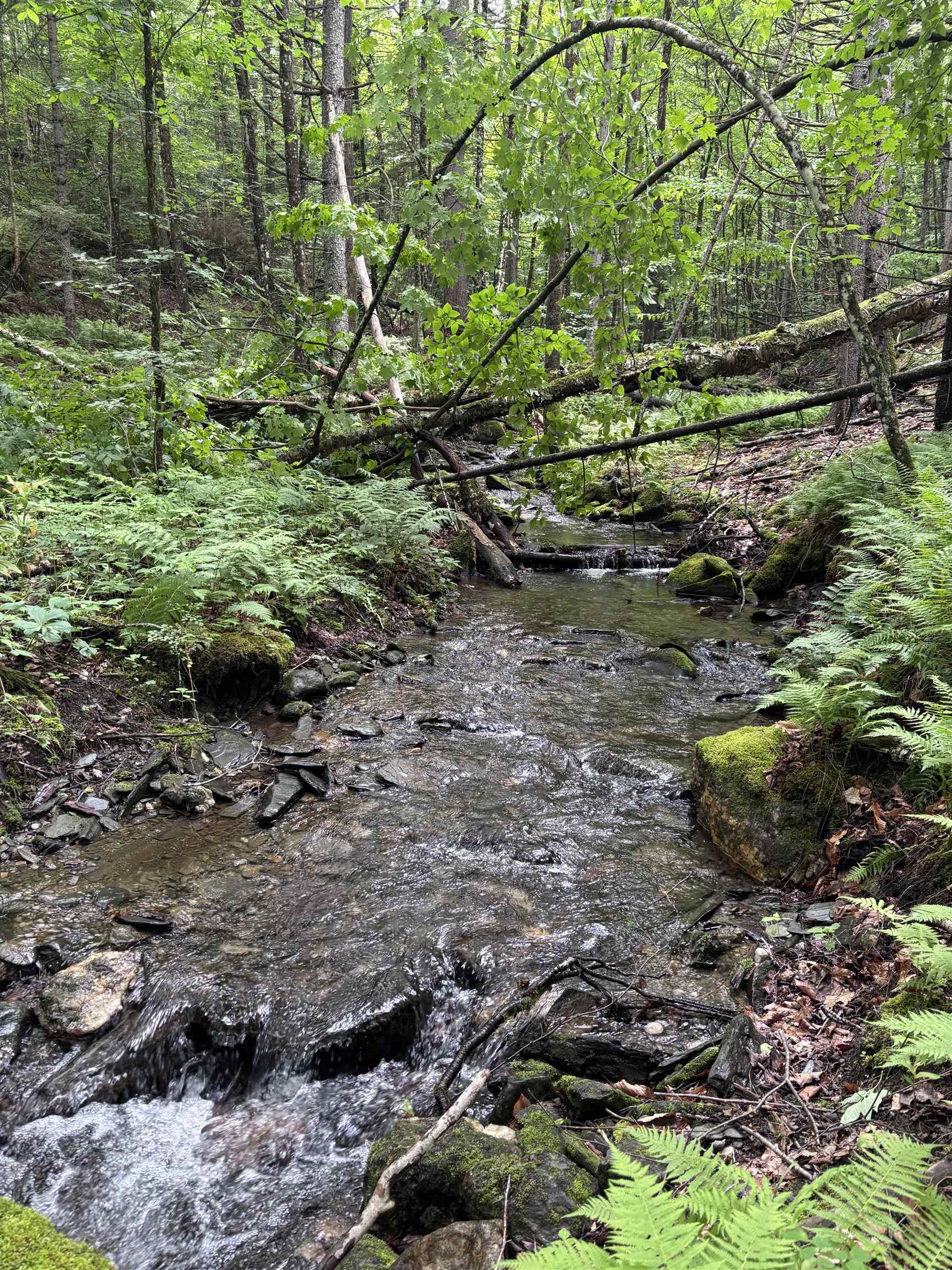 0 Davis Acres Road