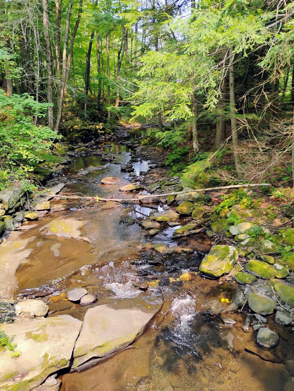 Photo of 763 Center Road, Cornish, NH 03745 (MLS # 5075728)