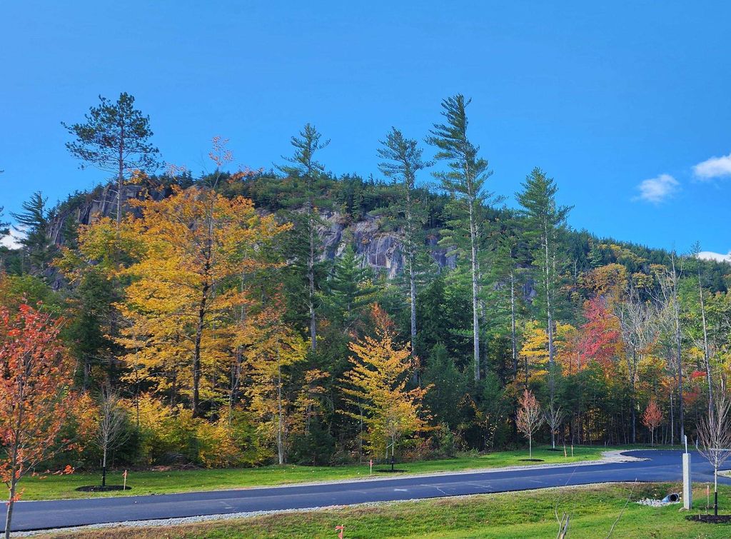 Photo of 9 Lucy Brook Road, Conway, NH 03860 (MLS # 5078997)