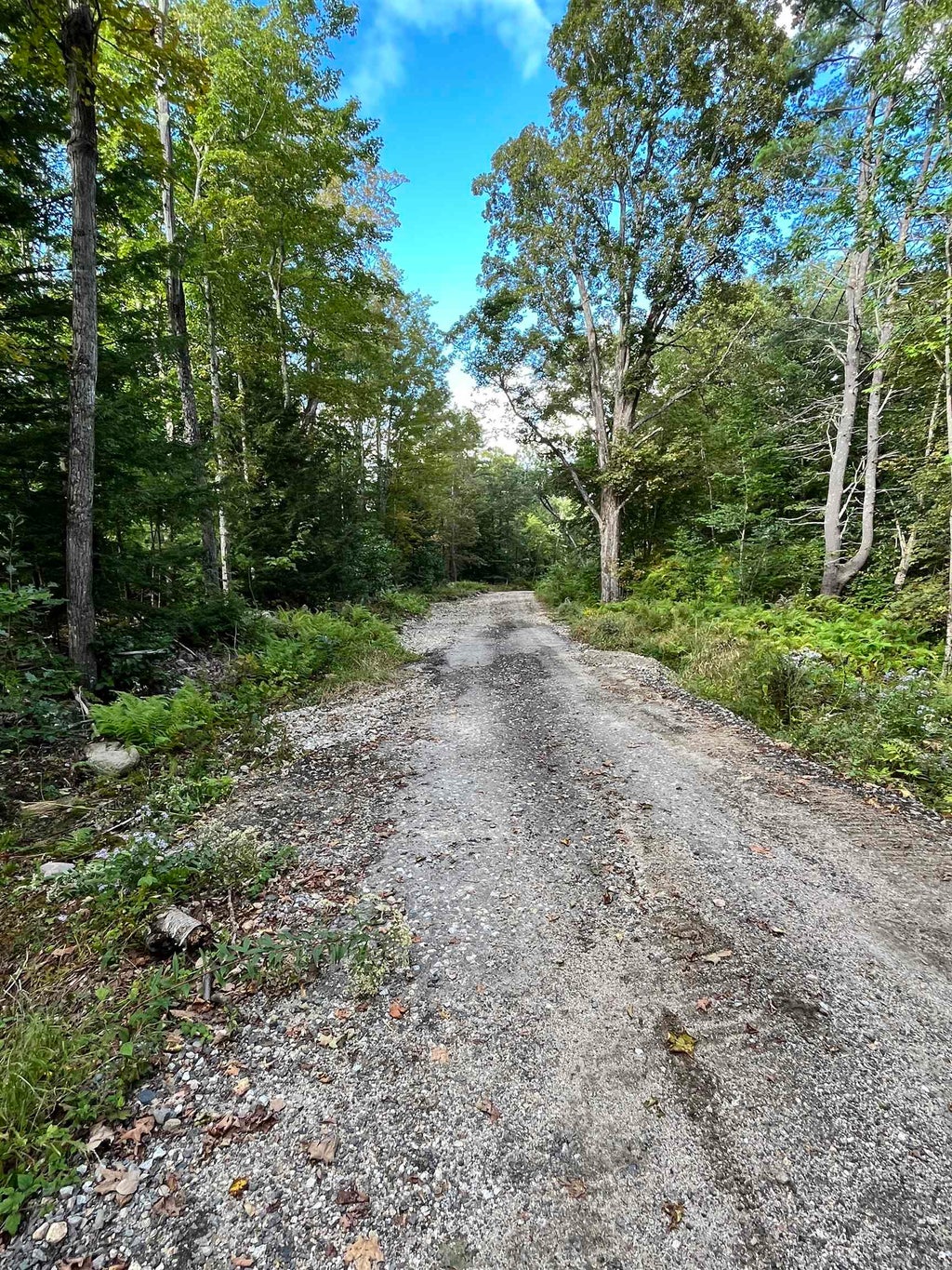Photo of 16 Pollys Crossing Road, Ossipee, NH 03864 (MLS # 4976565)