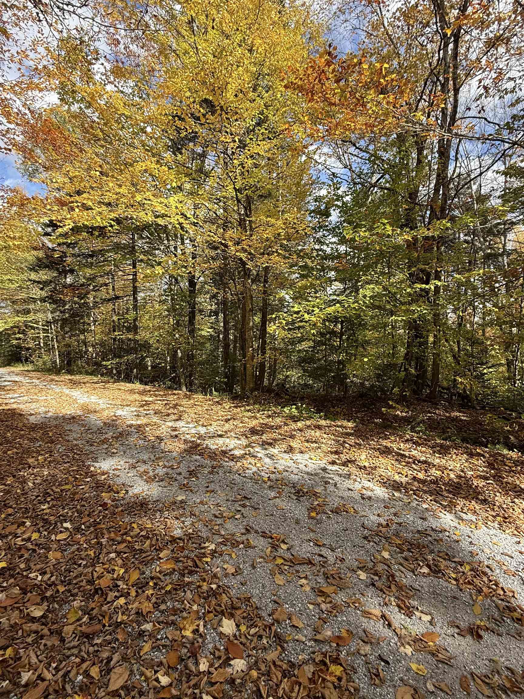 0 Okemo Way 47 & 48