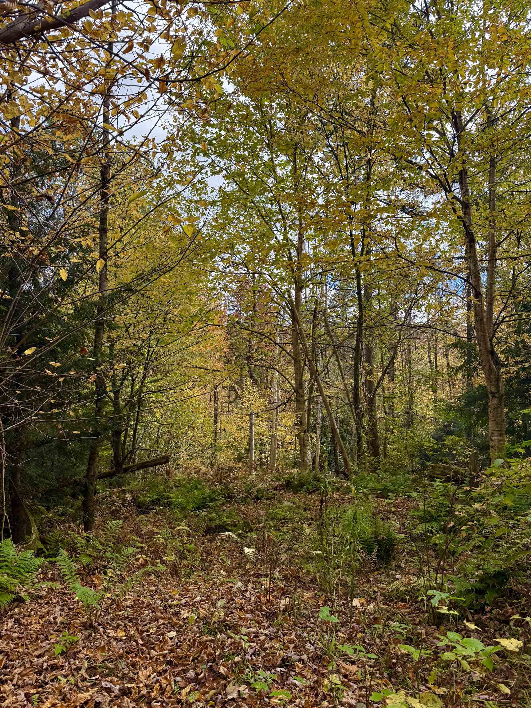 0 Okemo Way 47 & 48