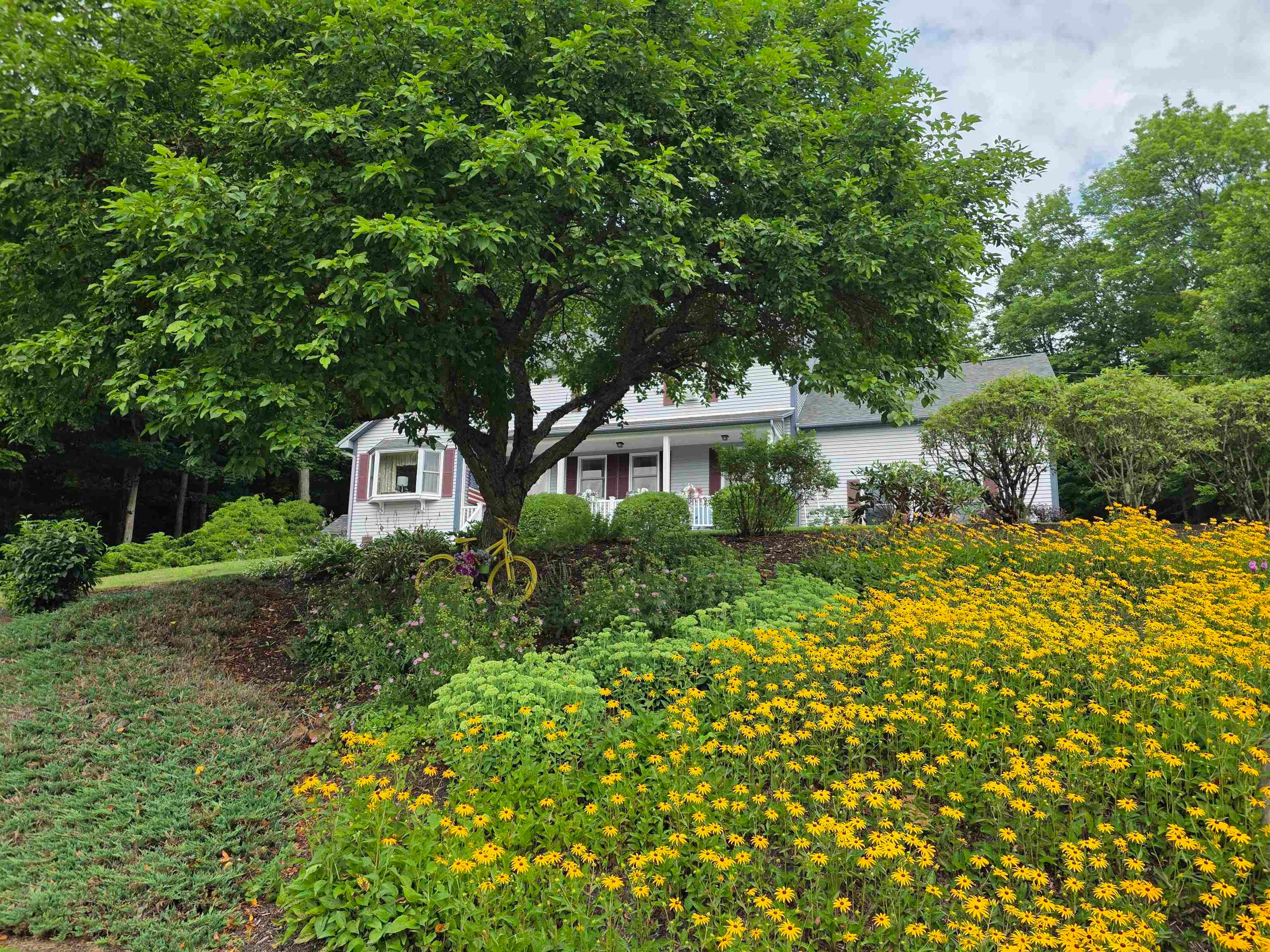 229 Meadowood Lane 6