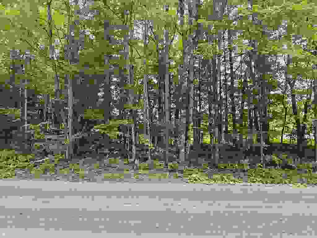 Photo of 413 Pettyboro Road, Lyman, NH 03585 (MLS # 5086422)