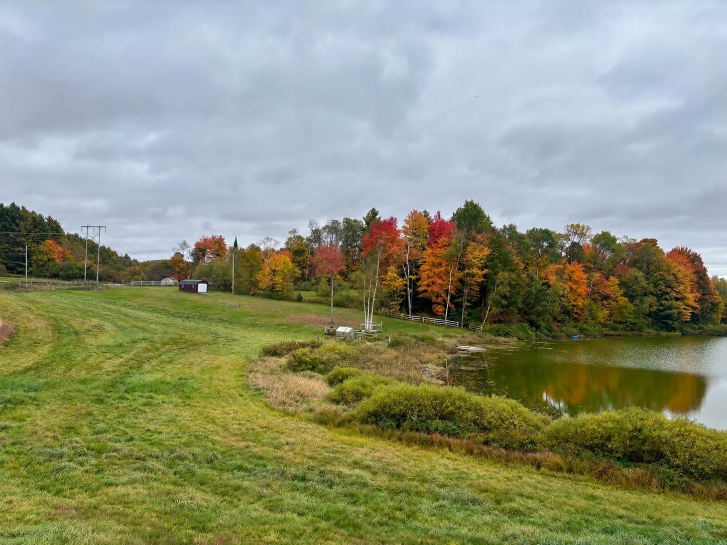 0000 Lily Pond Road 5