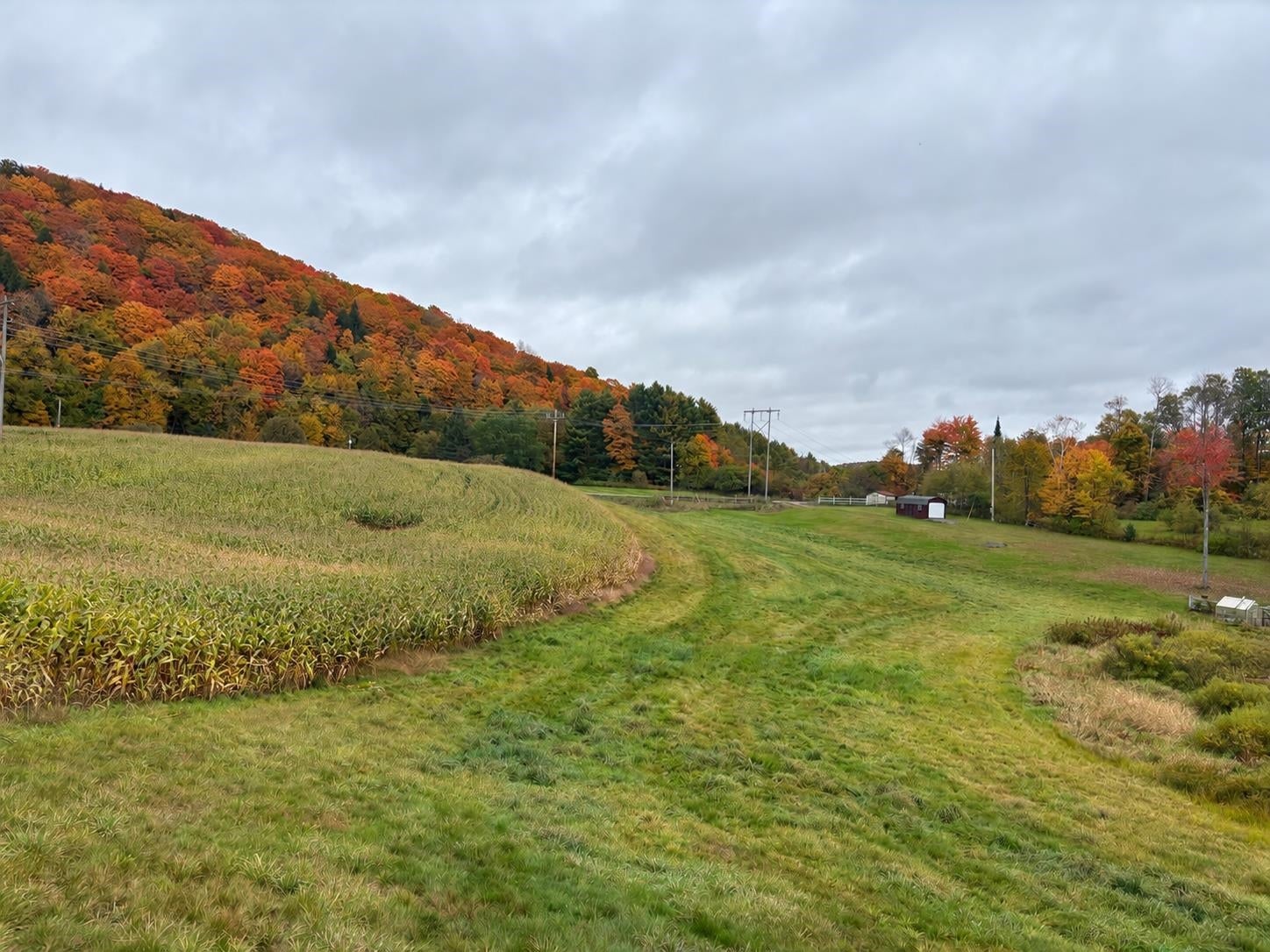 0000 Lily Pond Road 5