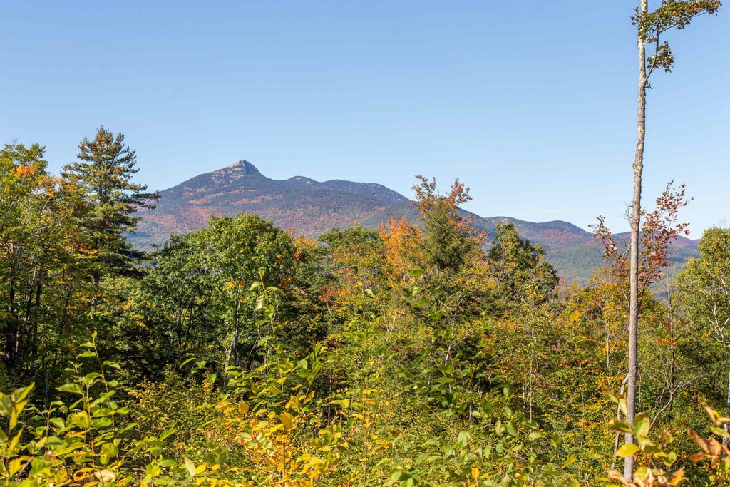 Photo of 0000 Page Hill Road, Tamworth, NH 03817 (MLS # 5113331)