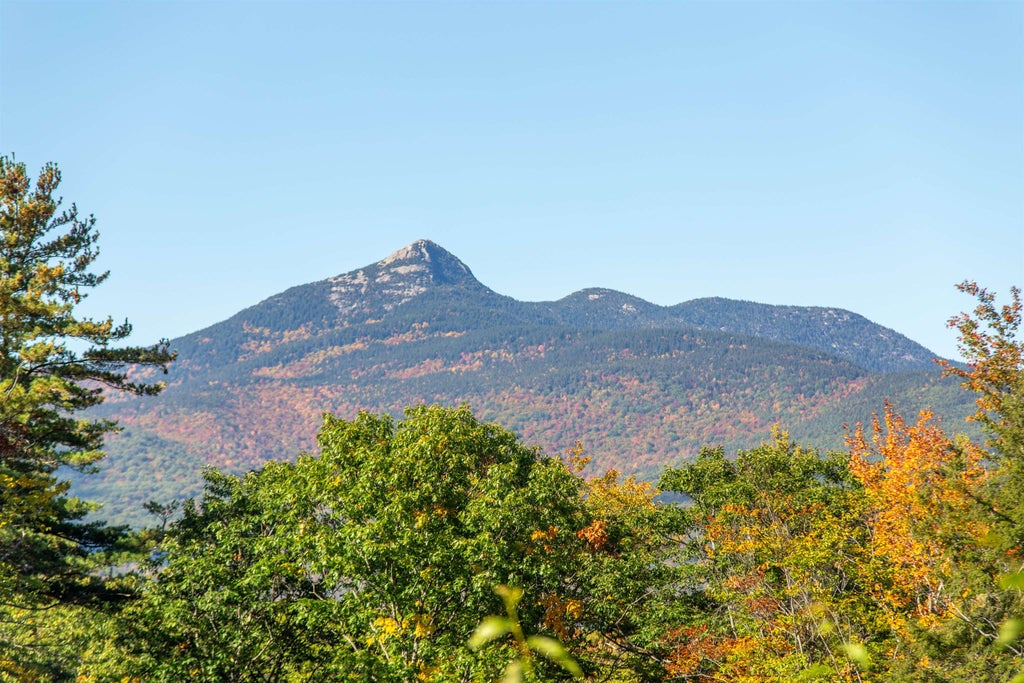 Photo of 0000 Page Hill Road, Tamworth, NH 03817 (MLS # 5113331)