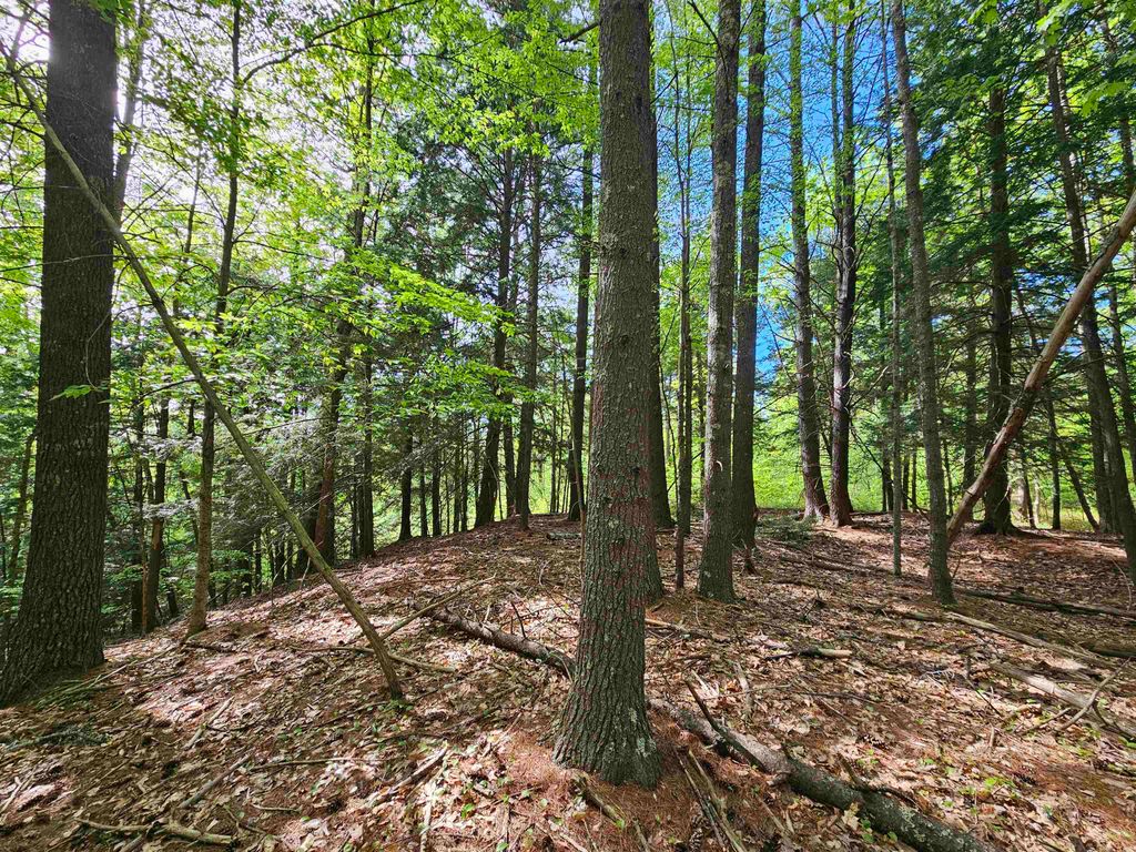 Photo of 26 Province Road, Belmont, NH 03220 (MLS # 5090725)