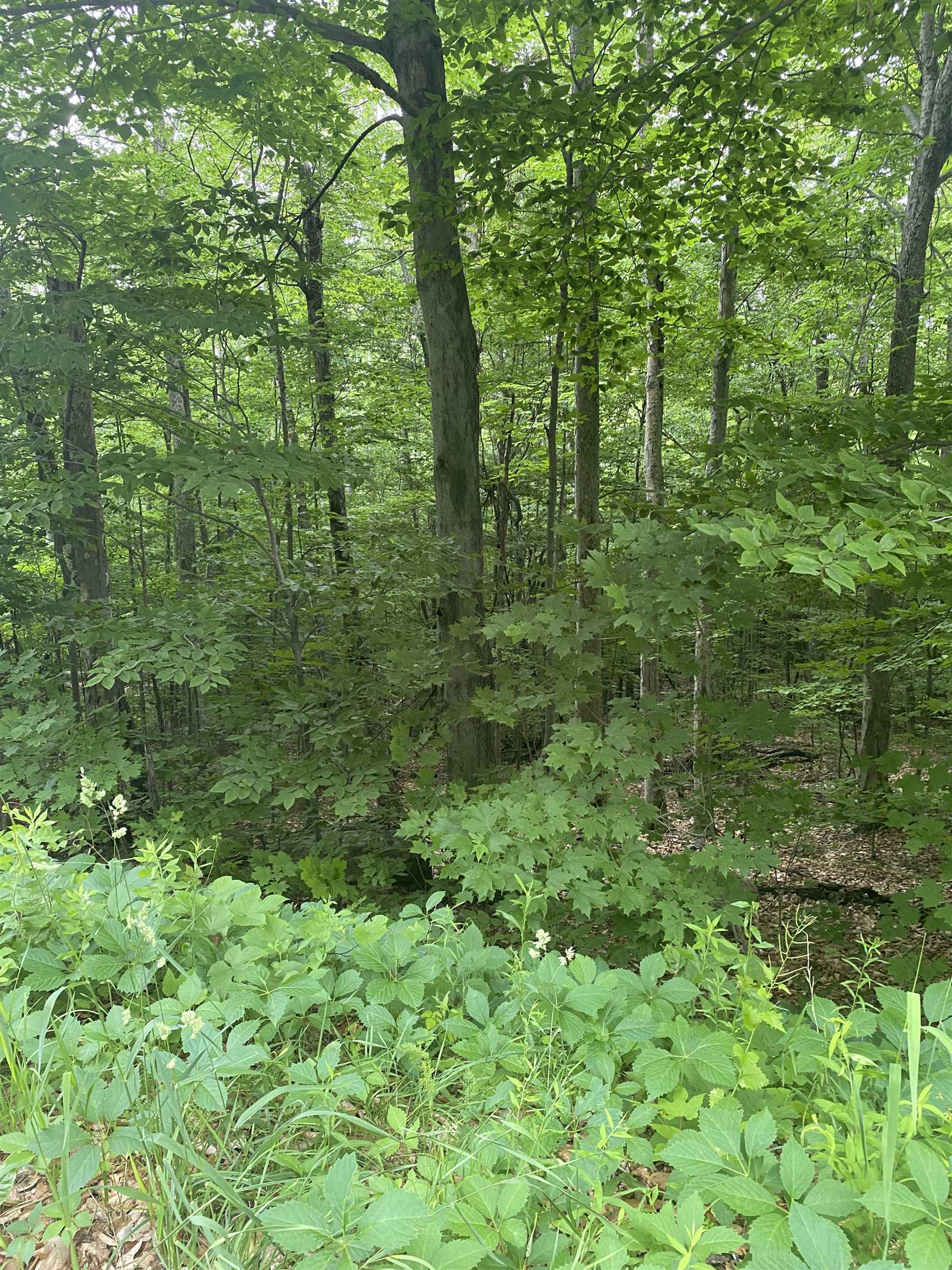 8 Fred Johnson Circle 16 - Photo 3