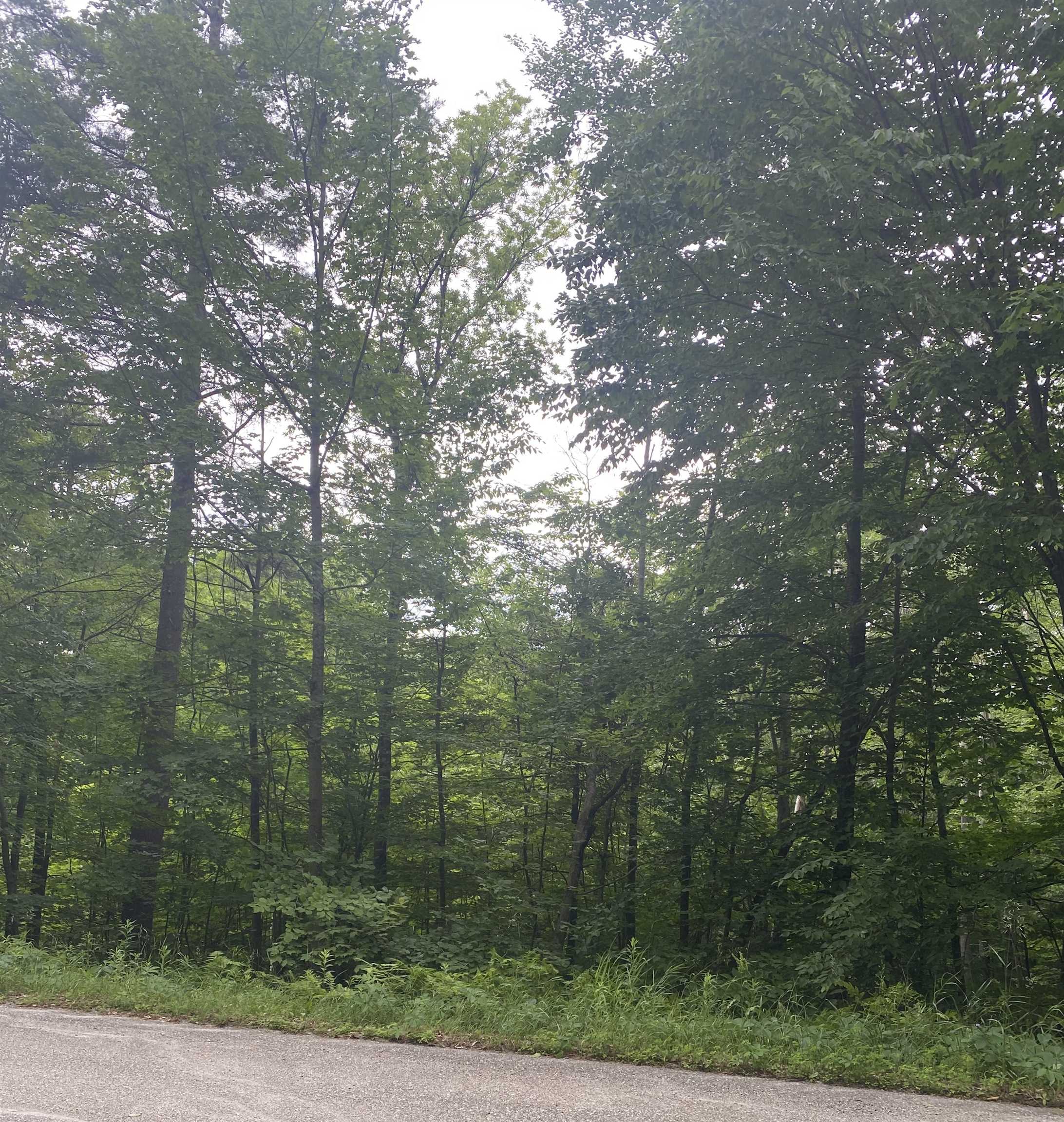 8 Fred Johnson Circle 16 - Photo 2