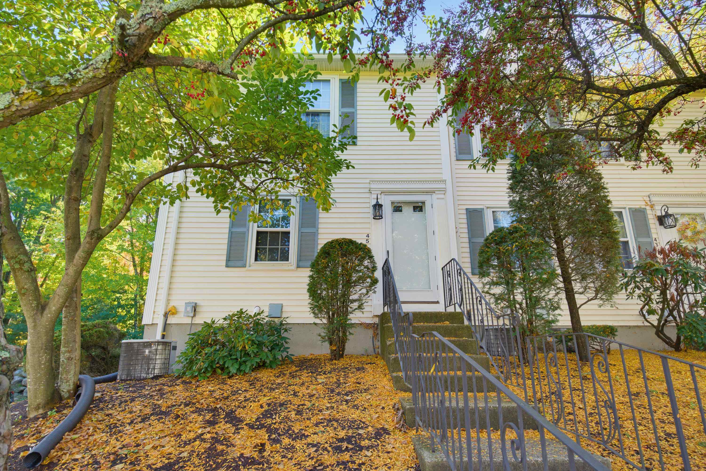 45 Beech Hill Avenue 45