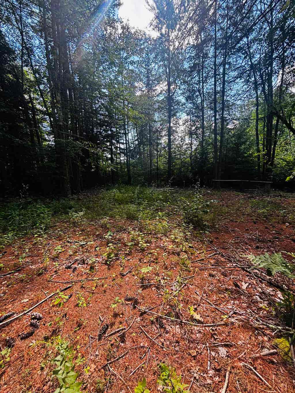 Photo of TBD Birch Hill Road, New Durham, NH 03855 (MLS # 5105690)