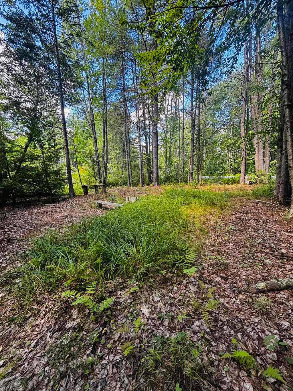 Photo of TBD Birch Hill Road, New Durham, NH 03855 (MLS # 5105690)