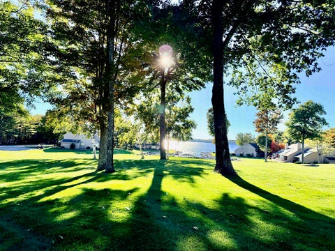 Photo of 2 Portside Drive #4, Moultonborough, NH 03254 (MLS # 5114937)