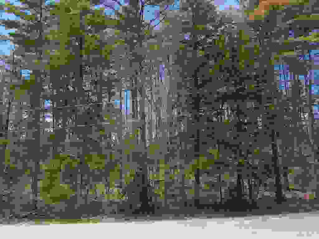 Photo of 12 Eidelweiss Drive, Madison, NH 03849 (MLS # 5087664)