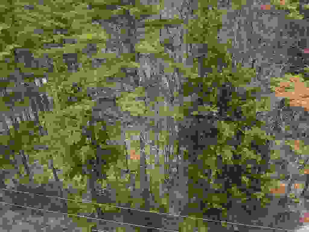 Photo of 12 Eidelweiss Drive, Madison, NH 03849 (MLS # 5087664)