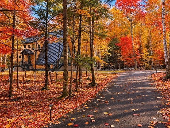 Photo of 94 Cindy's Lane, Campton, NH 03223 (MLS # 5111150)