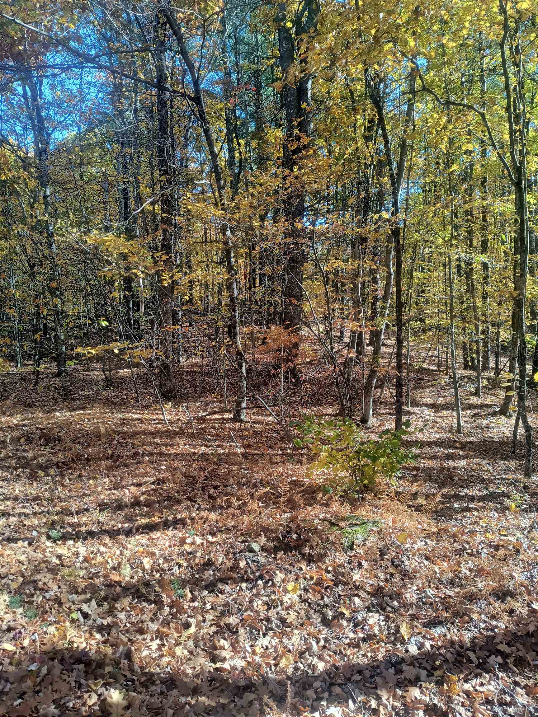 Map 8 Lot 77 Province Road