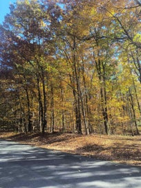 Map 8 Lot 77 Province Road Strafford NH 03884