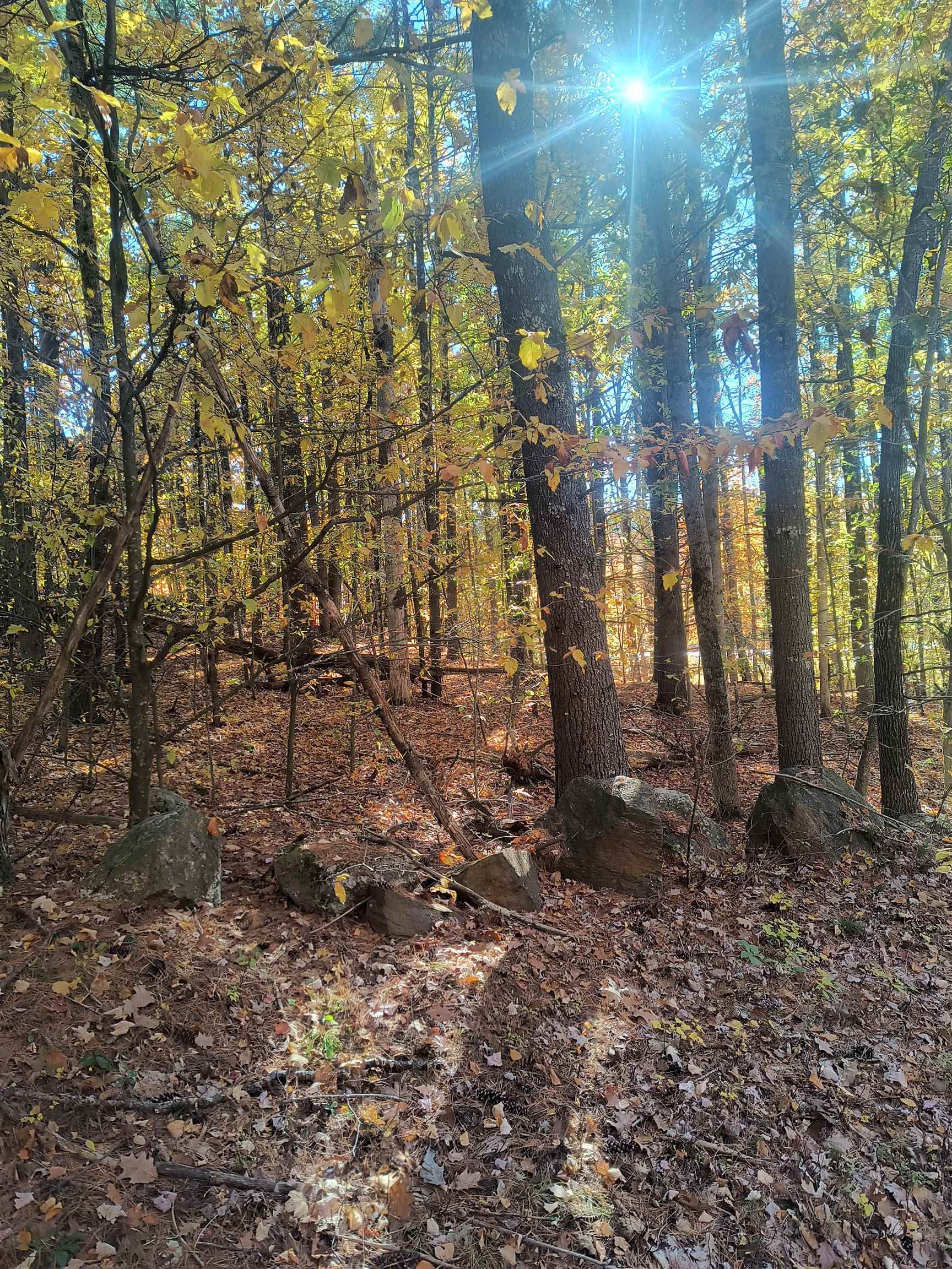 Map 8 Lot 77 Province Road
