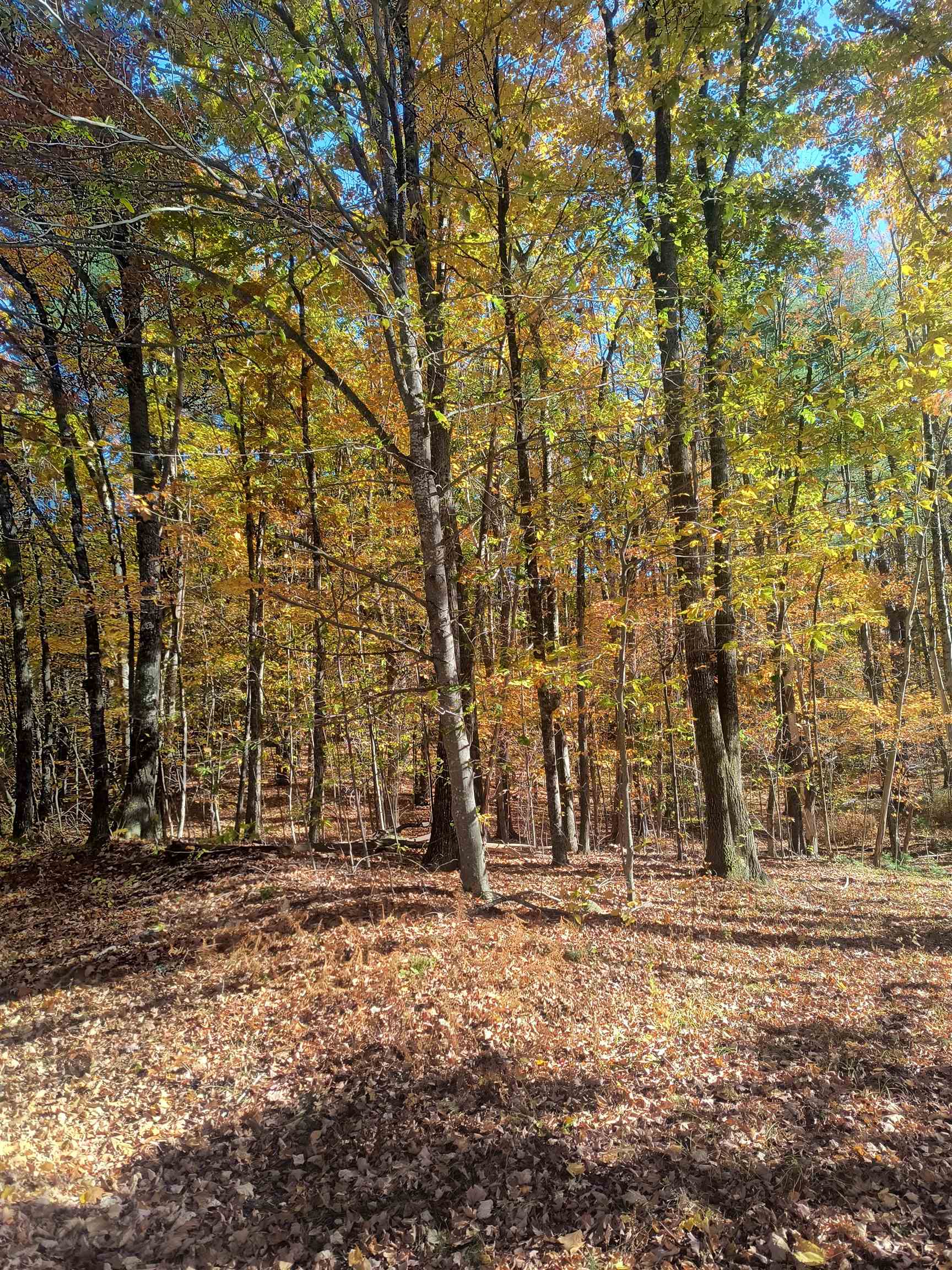 Map 8 Lot 77 Province Road