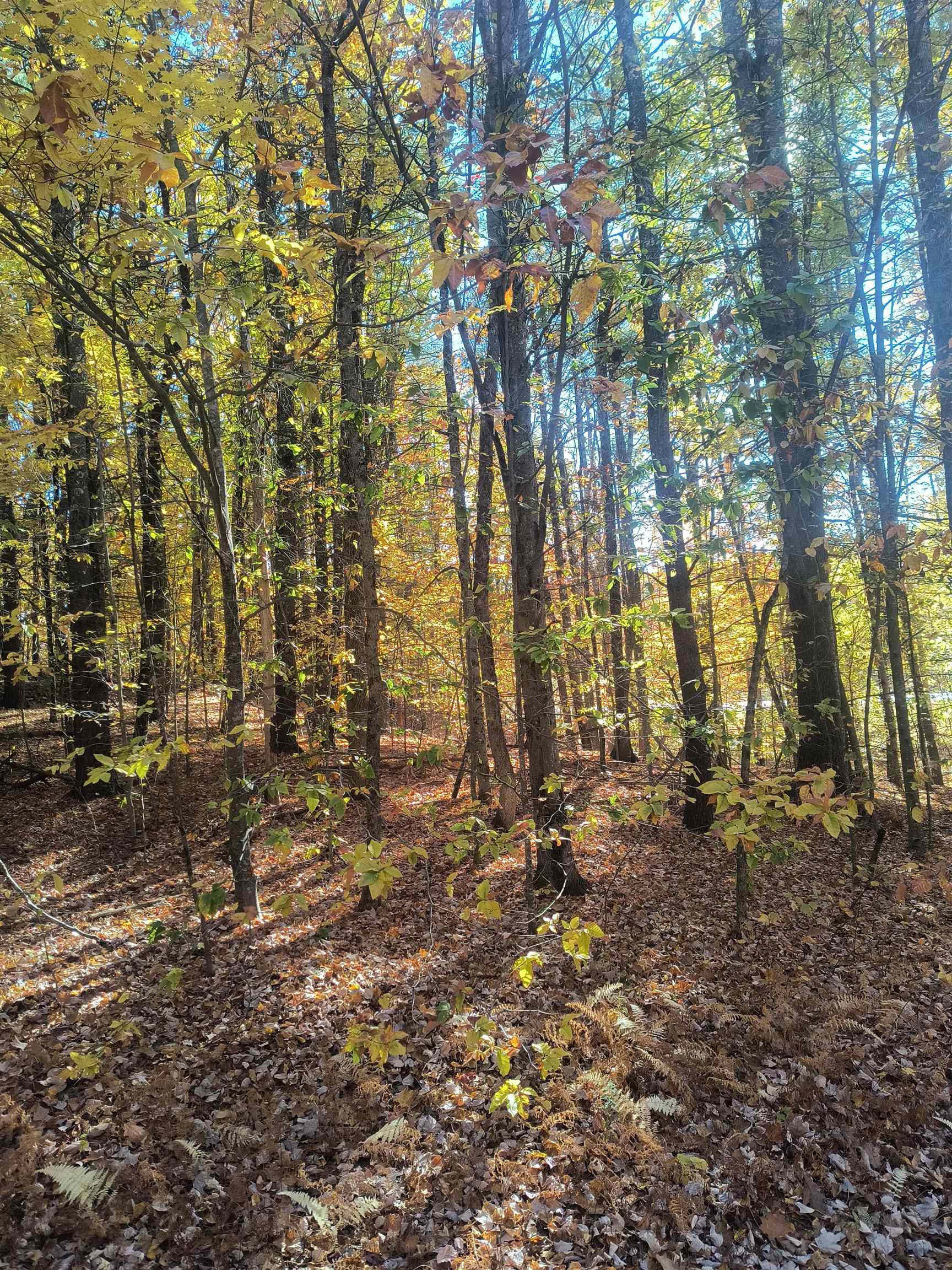 Map 8 Lot 77 Province Road