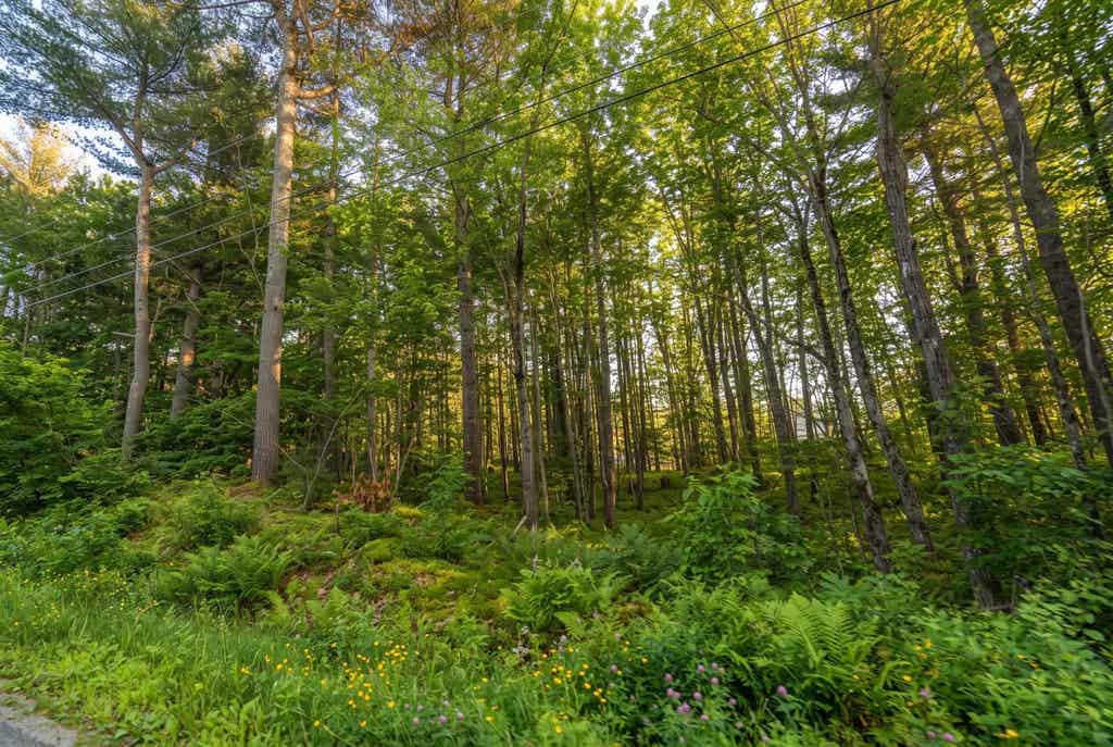 Photo of 76 Franconia Way, New Durham, NH 03855 (MLS # 5103445)