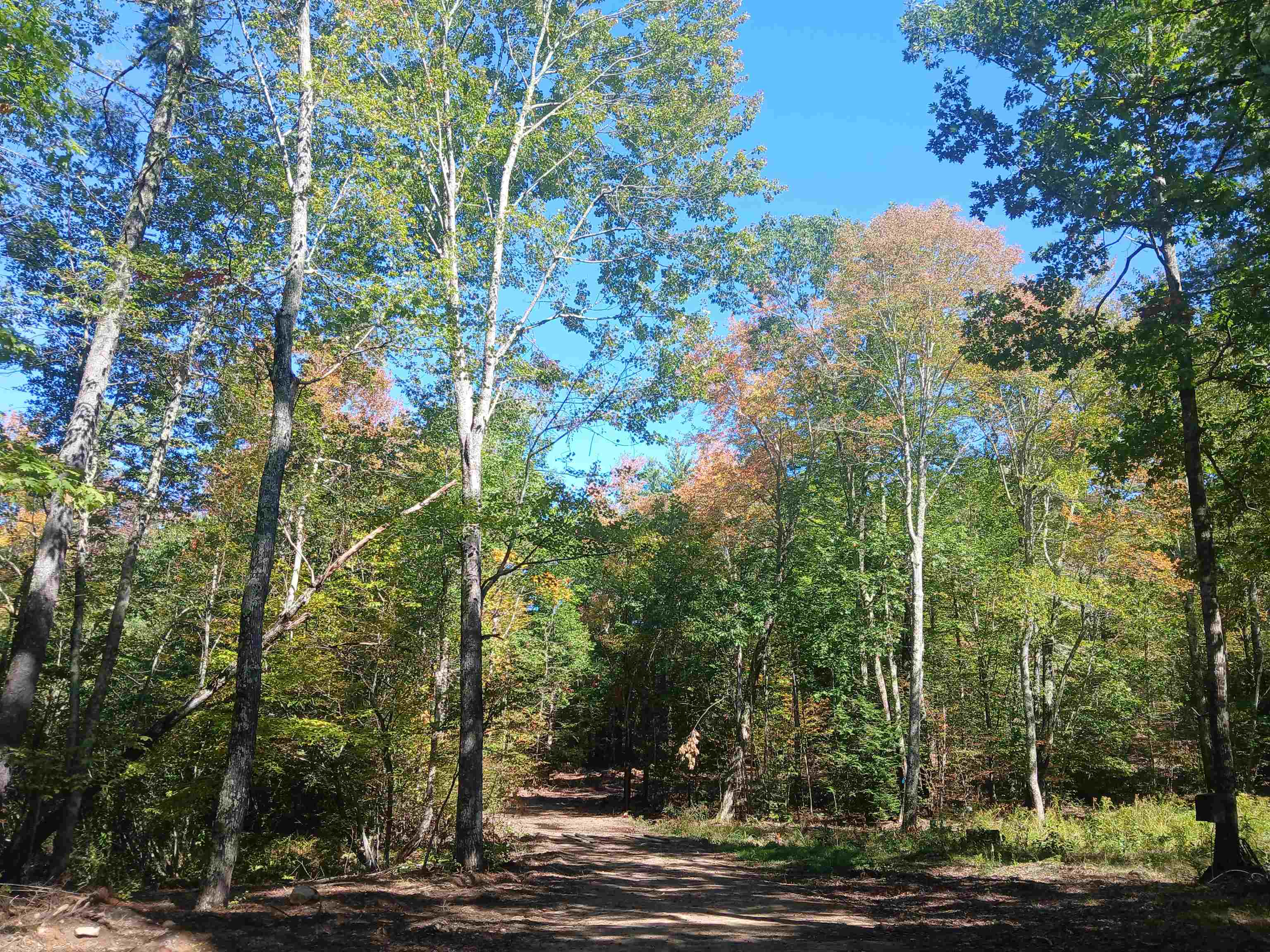373 Calef Highway