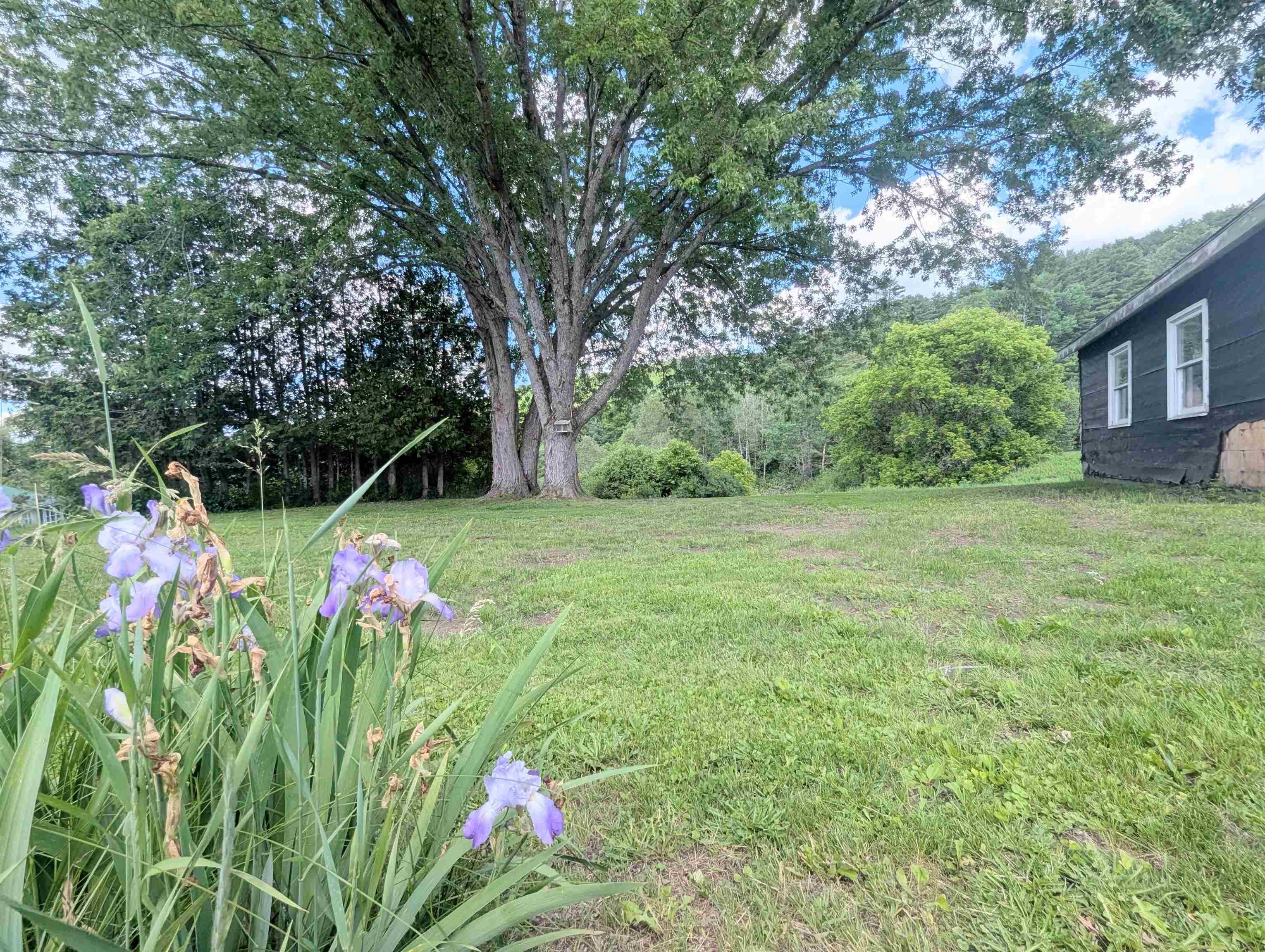 264 Breezy Hill Road