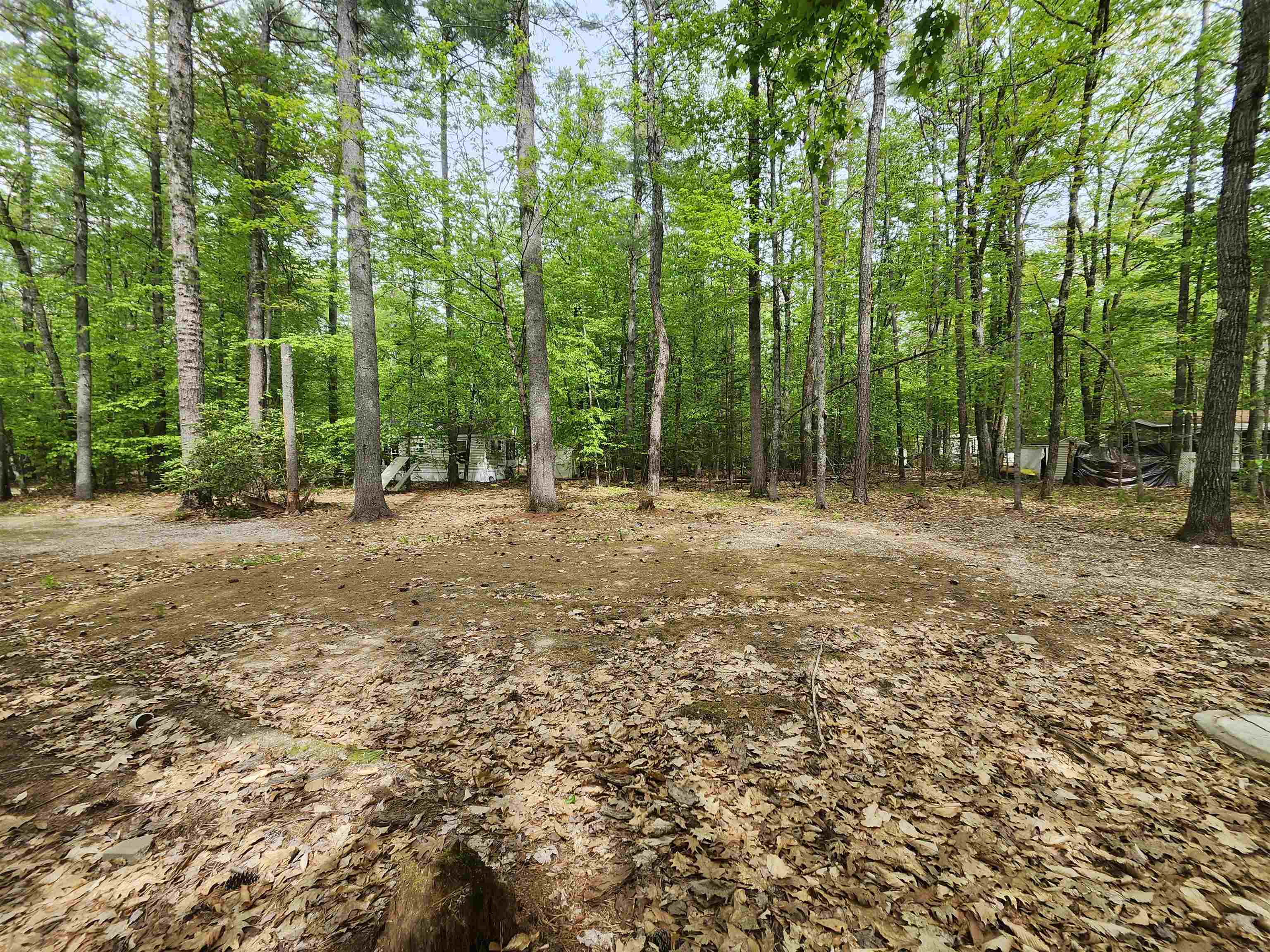 Lot 7 Pine Road
