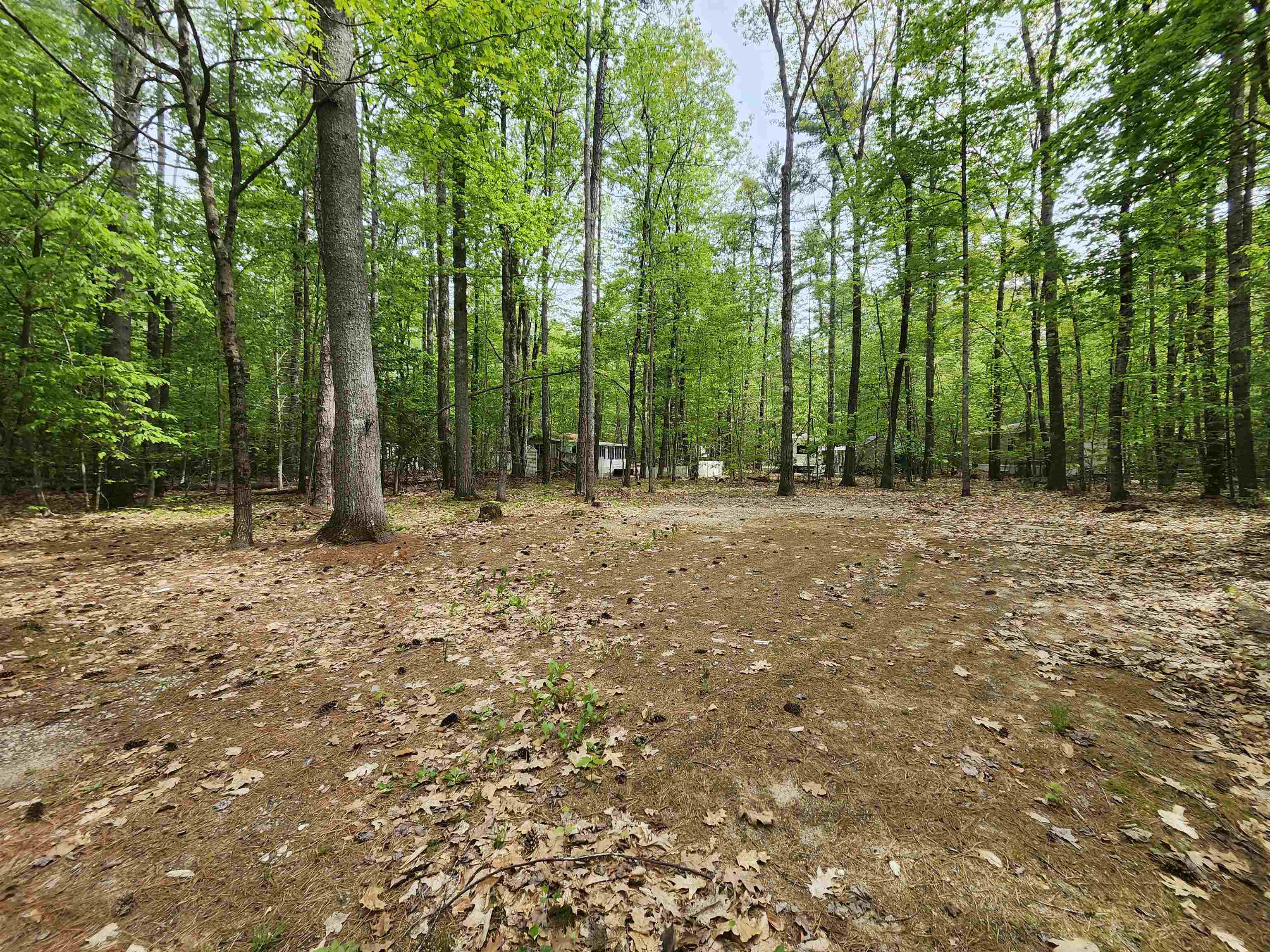 Lot 7 Pine Road