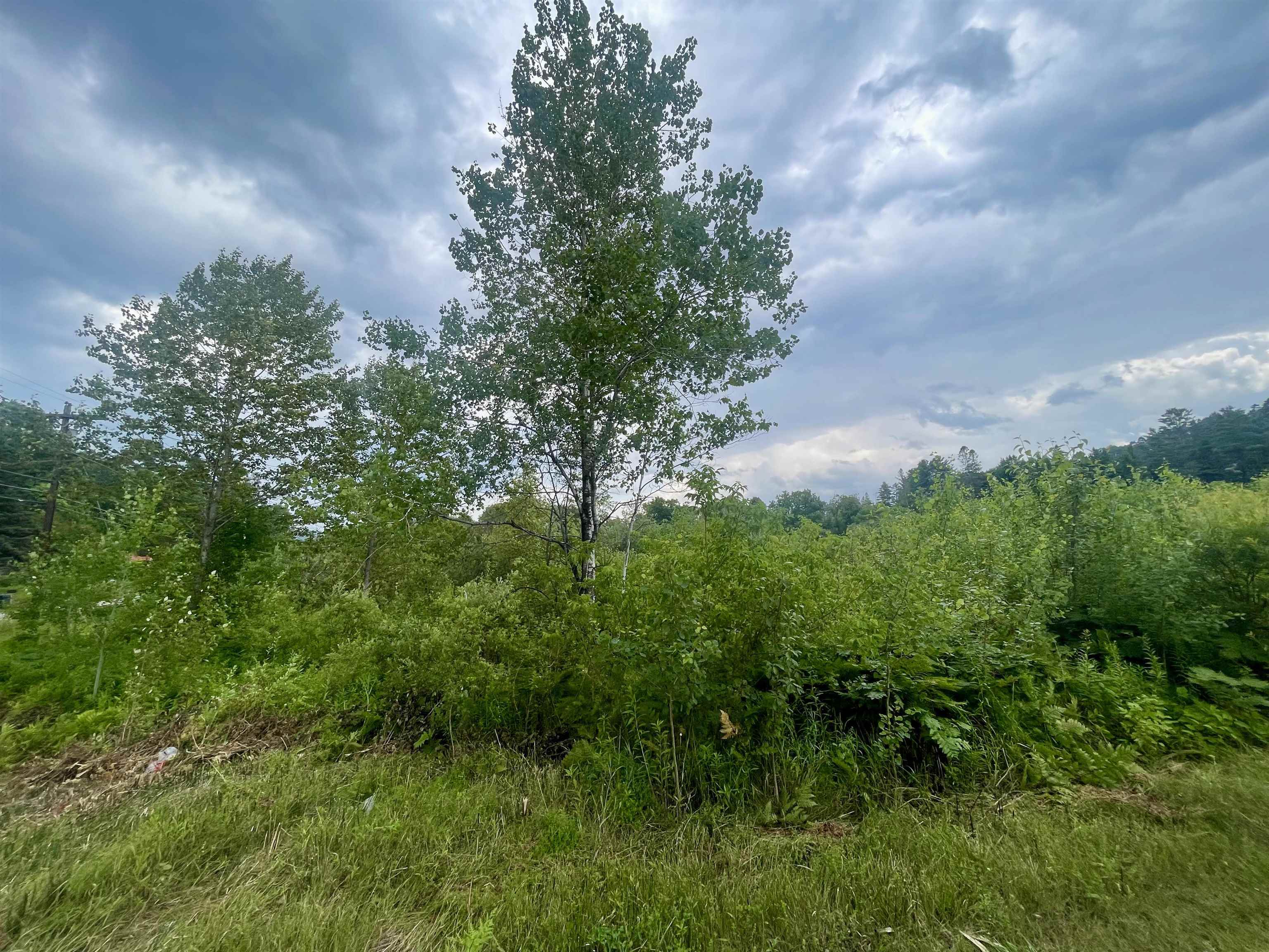 00 Gilman Road - Photo 2