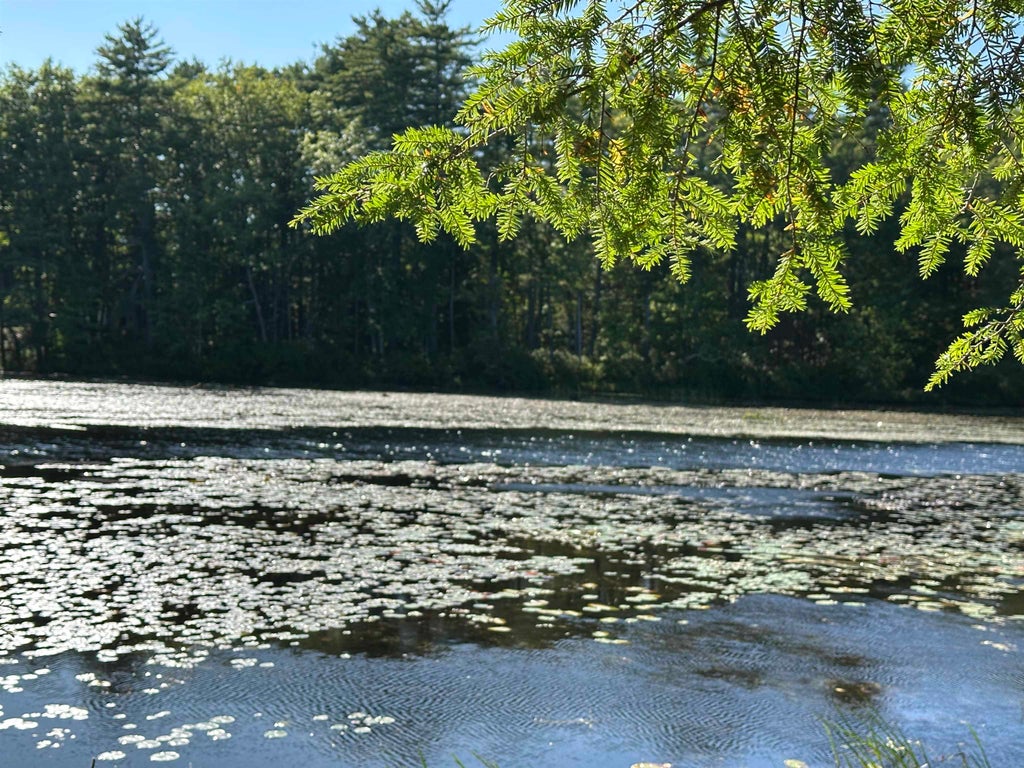 Photo of 39 Monadnock Road, Rindge, NH 03461 (MLS # 5109868)