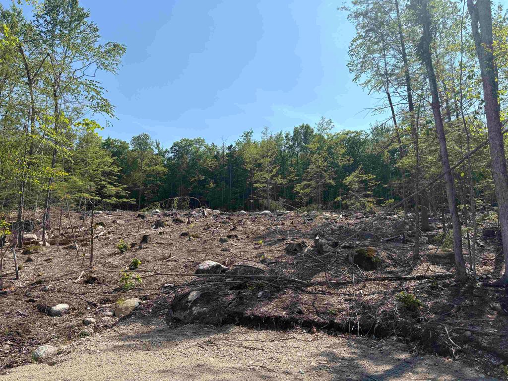 Photo of 10 Sugarloaf Drive #11, Ossipee, NH 03814 (MLS # 5097512)