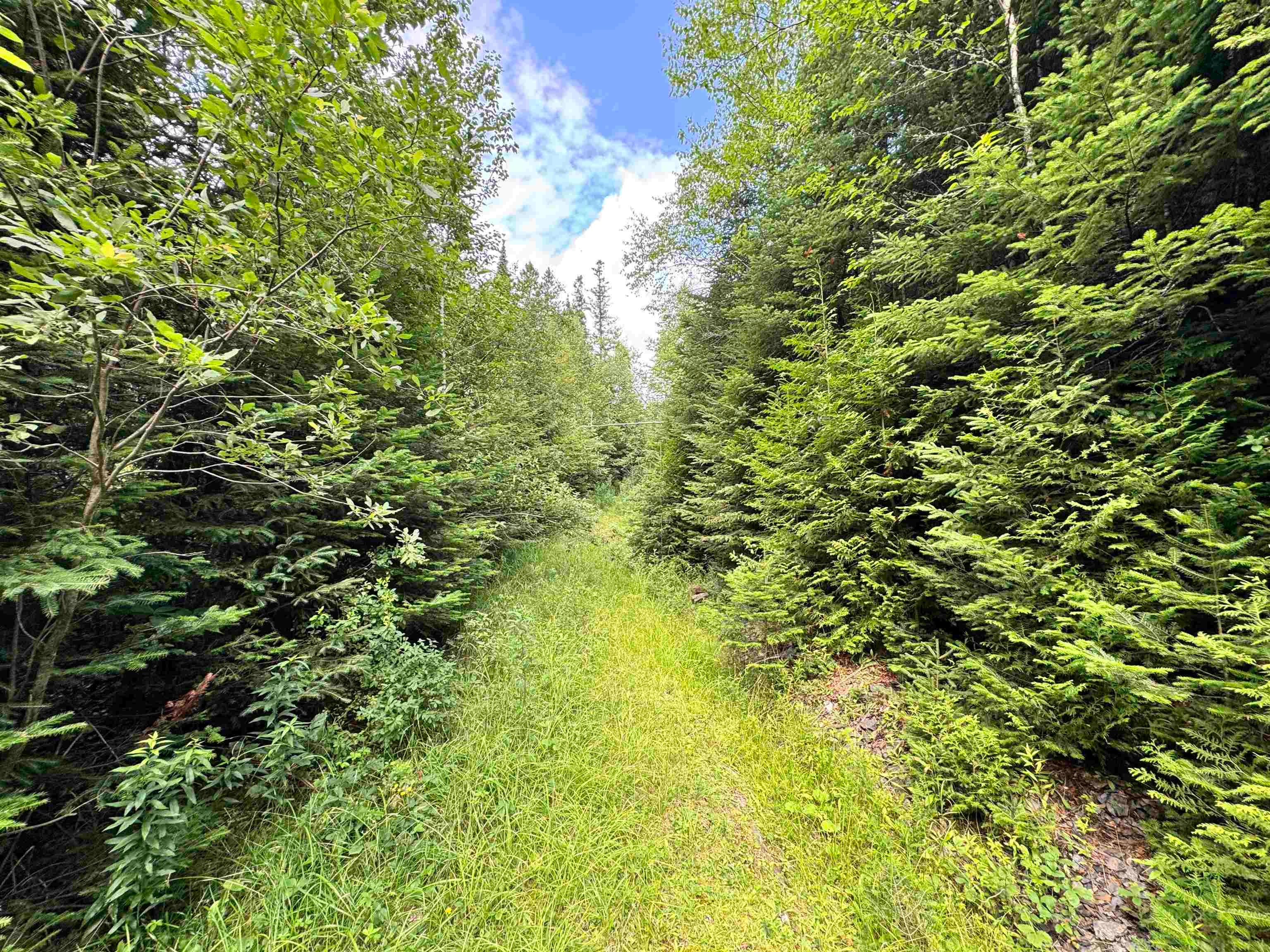 Lot 10 Quimby Road