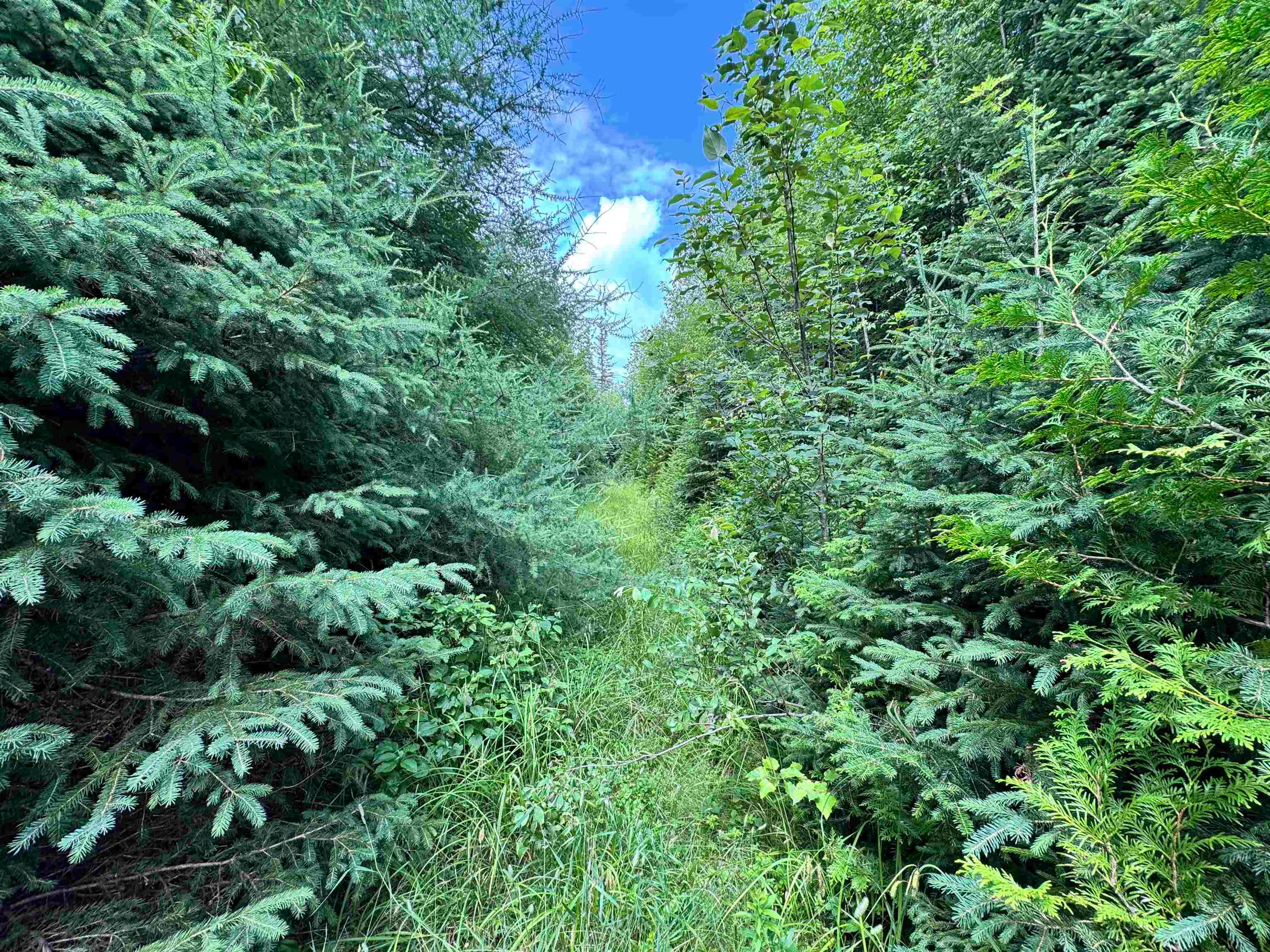Lot 10 Quimby Road