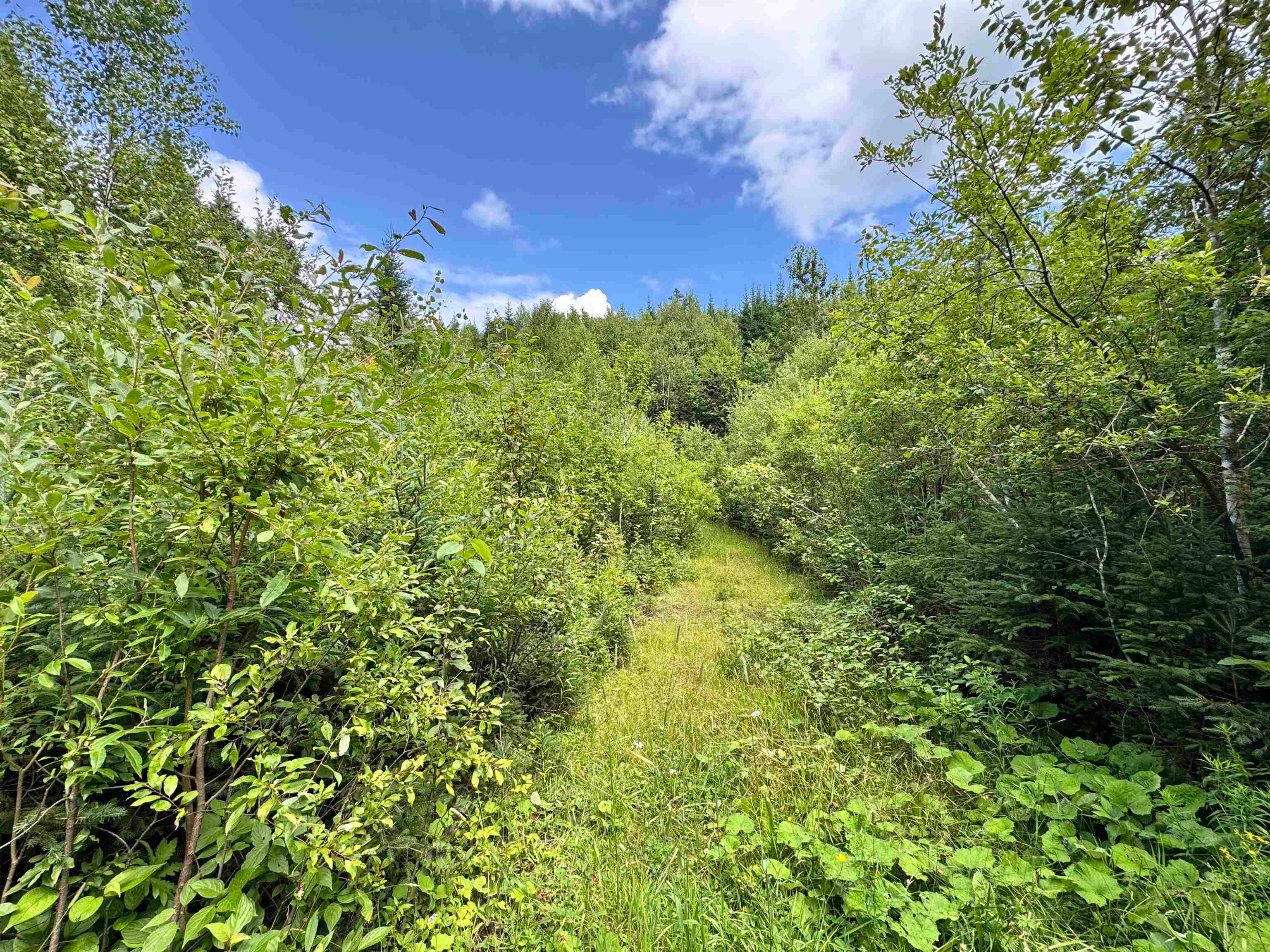 Lot 10 Quimby Road