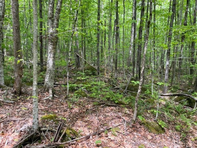 Photo of Dole School House Road, Washington, NH 03280 (MLS # 5095668)