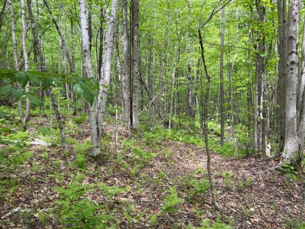 Photo of Dole School House Road, Washington, NH 03280 (MLS # 5095668)