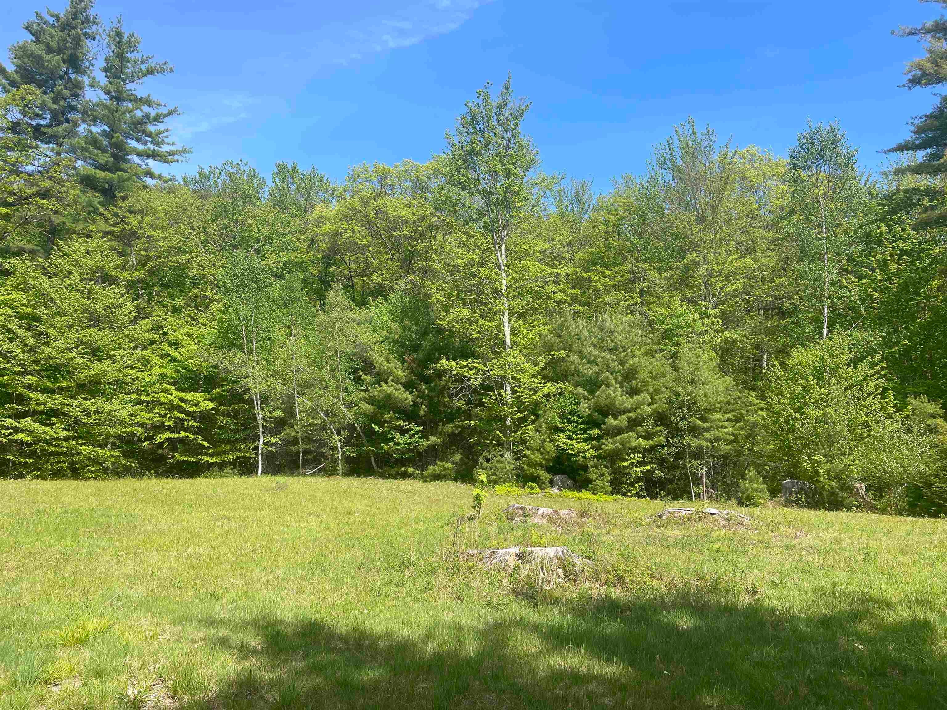 491 Whitneyville Road