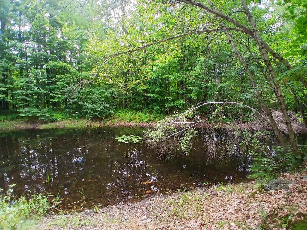 Photo of 34 Wild Meadow Road, Grafton, NH 03240 (MLS # 5105747)