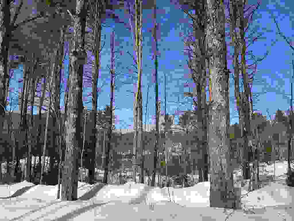 Photo of 409664 Old Turnpike Road, Richmond, NH 03470 (MLS # 5078082)