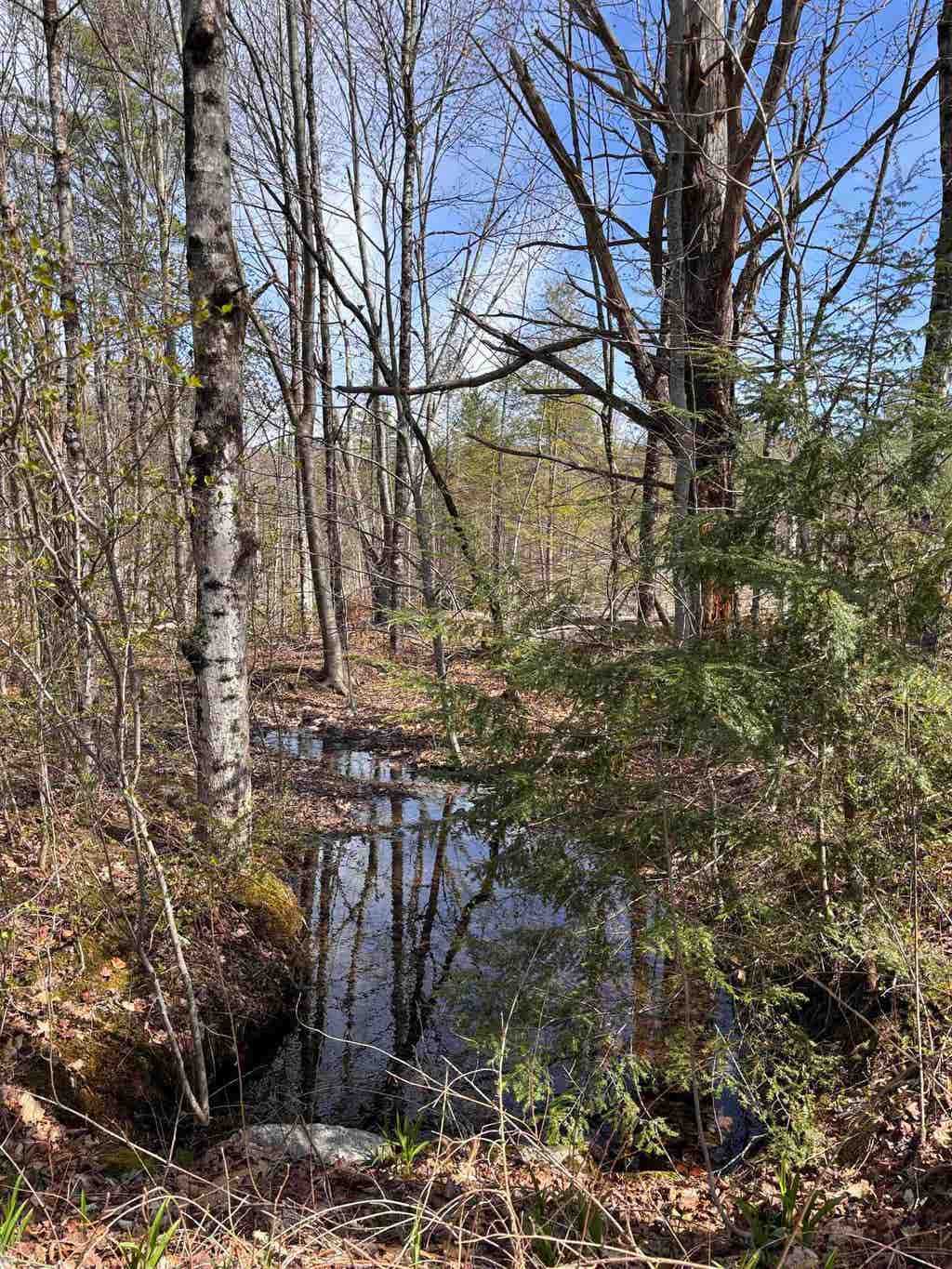 Photo of 40966 Old Turnpike Road, Richmond, NH 03470 (MLS # 5078082)