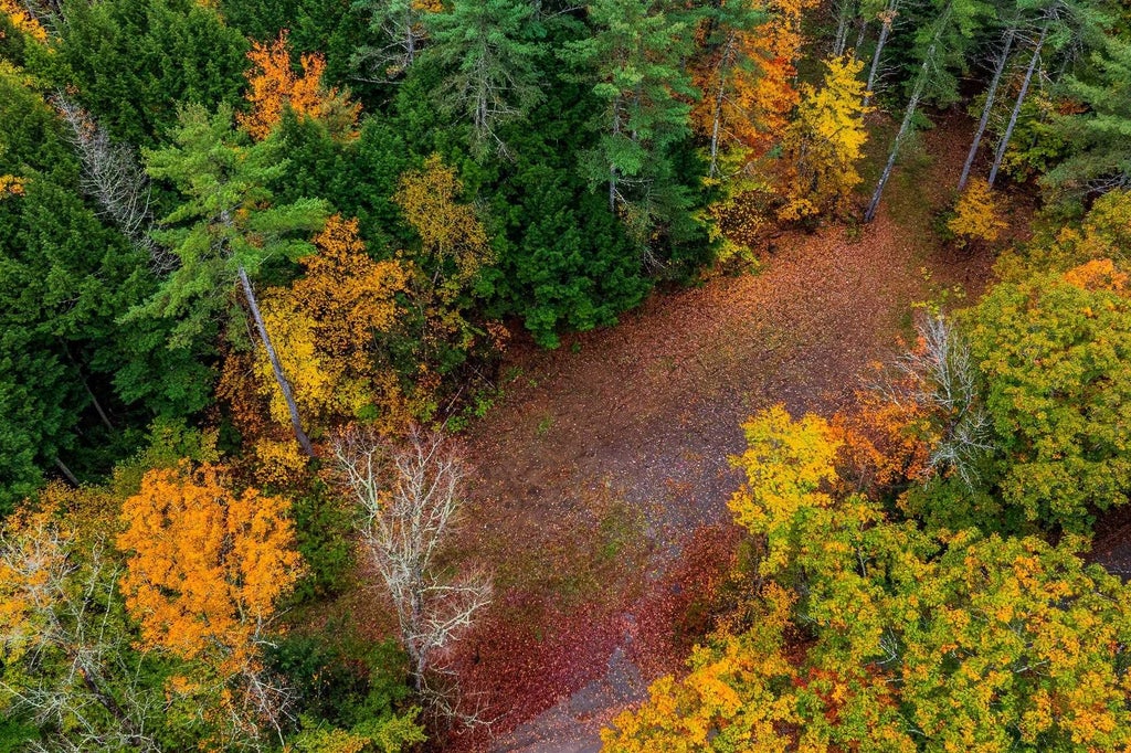 Photo of 0 Grimes Hill Road, Orford, NH 03777 (MLS # 5114559)