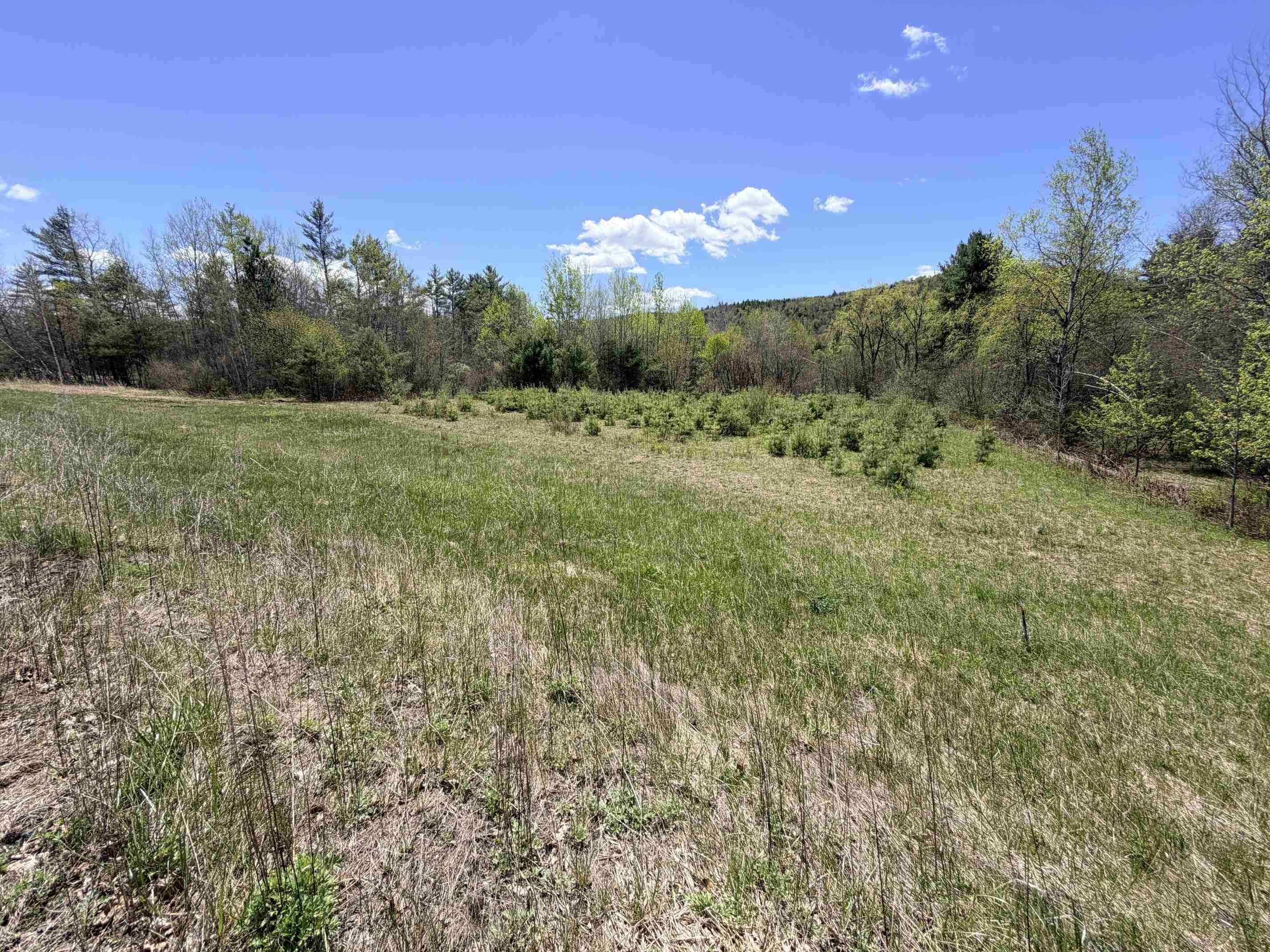 736 John Stark Highway