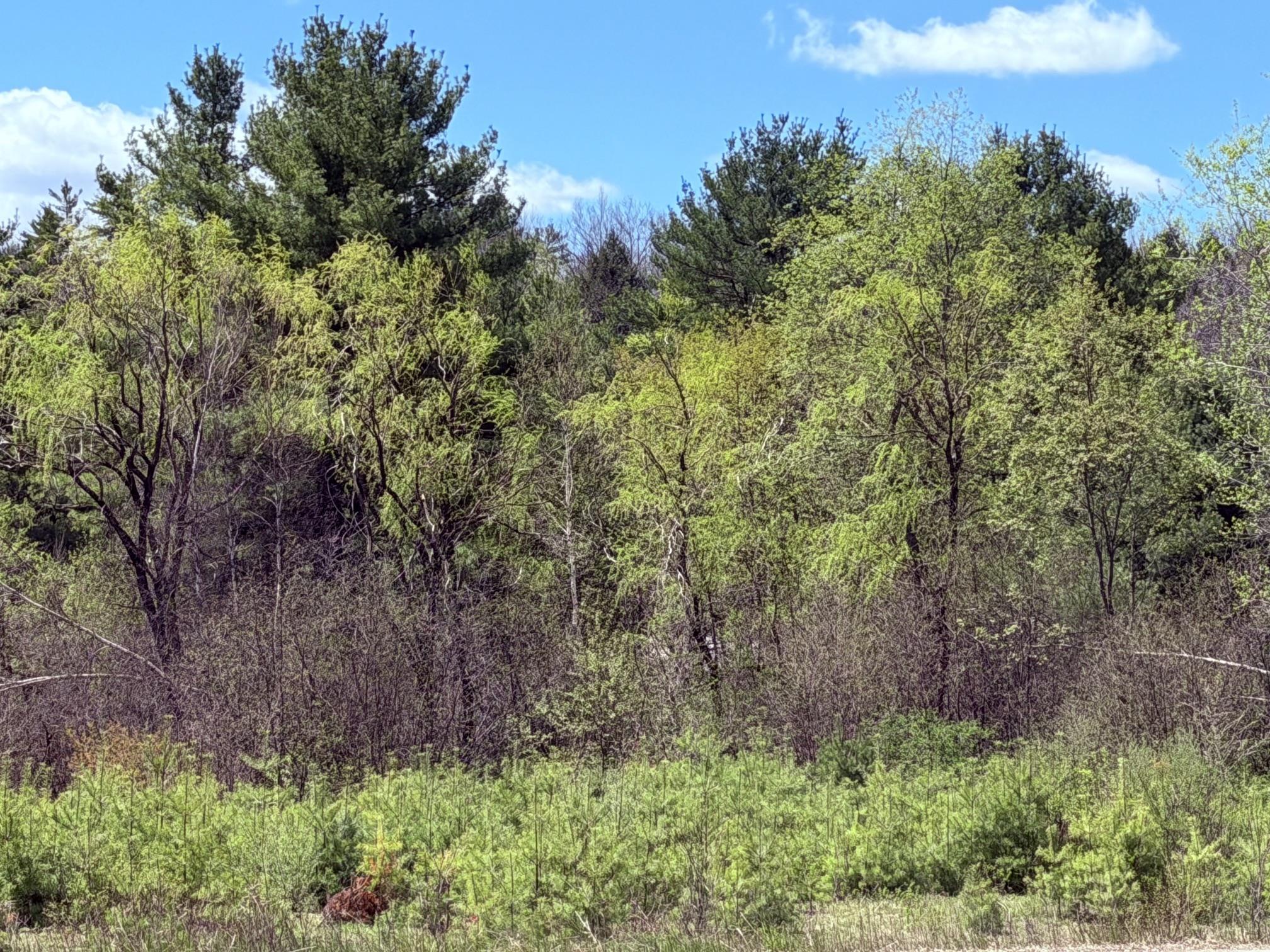 736 John Stark Highway