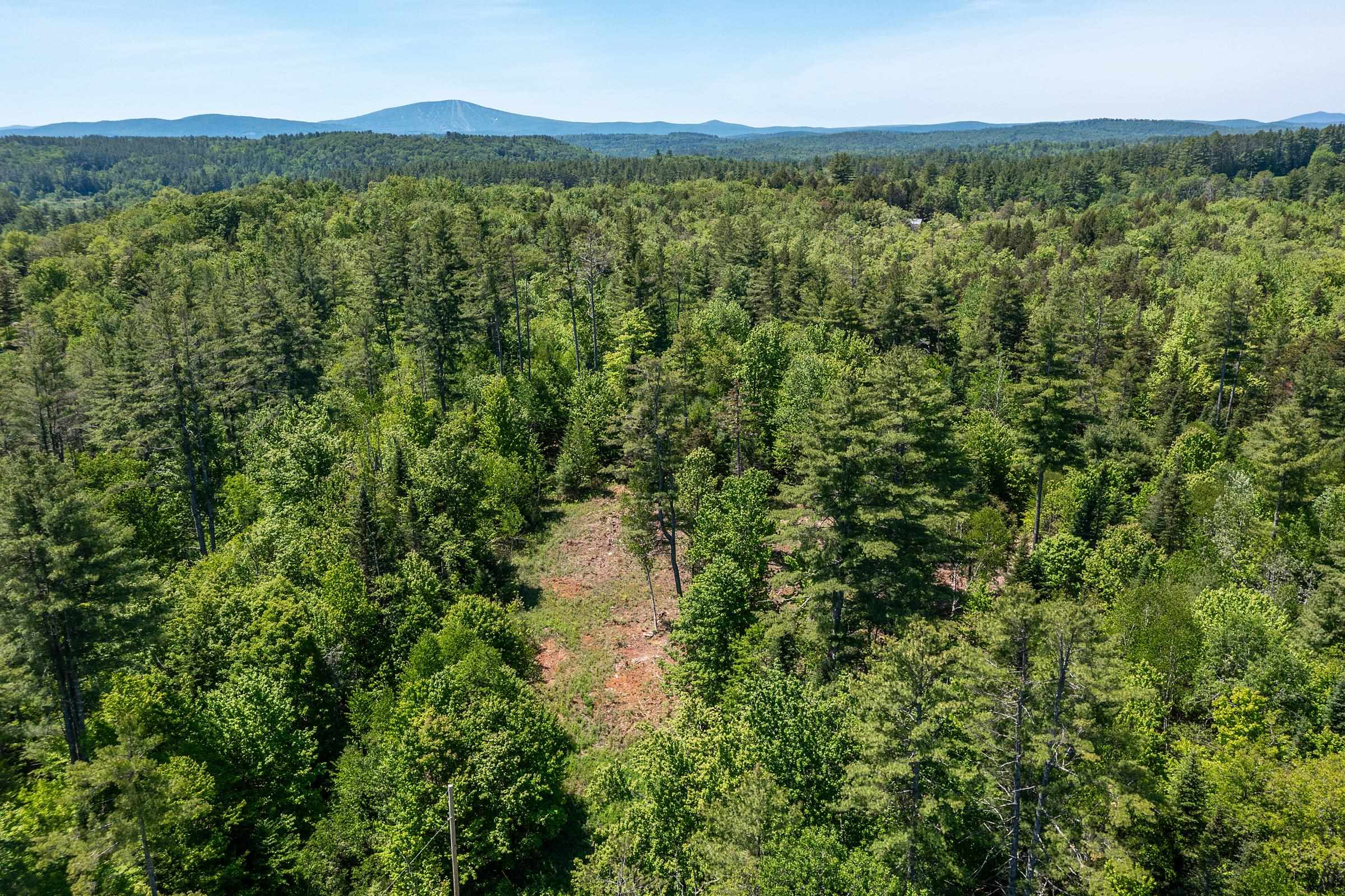 0 VT Route 100 - Photo 2